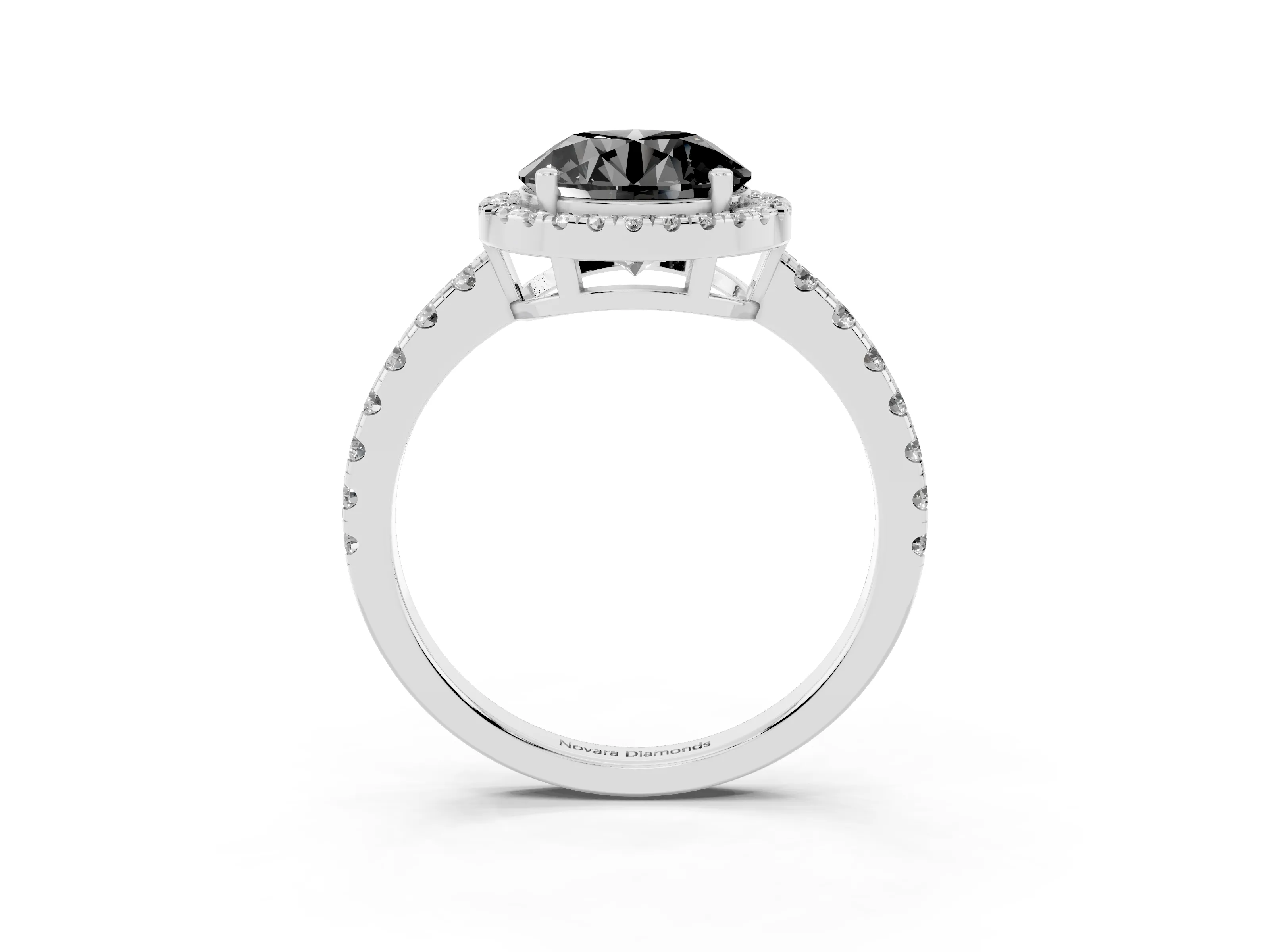 Fancy Black Round Cut Diamond Halo Ring Set in Platinum with Delicate Pavé Band and Prong Setting