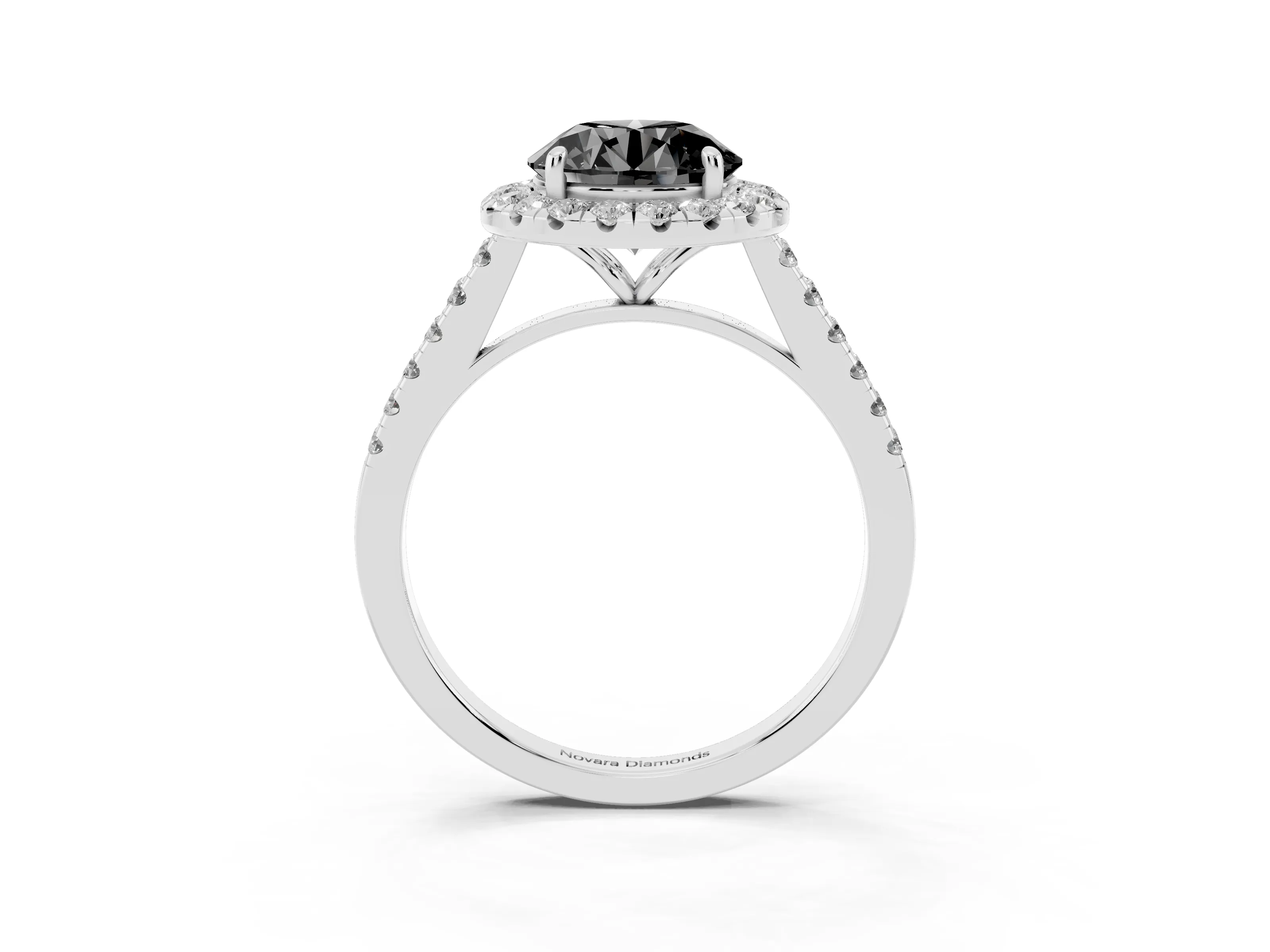 Fancy Black Round Cut Diamond Halo Pavé Engagement Ring Set in White gold with Prong Setting
