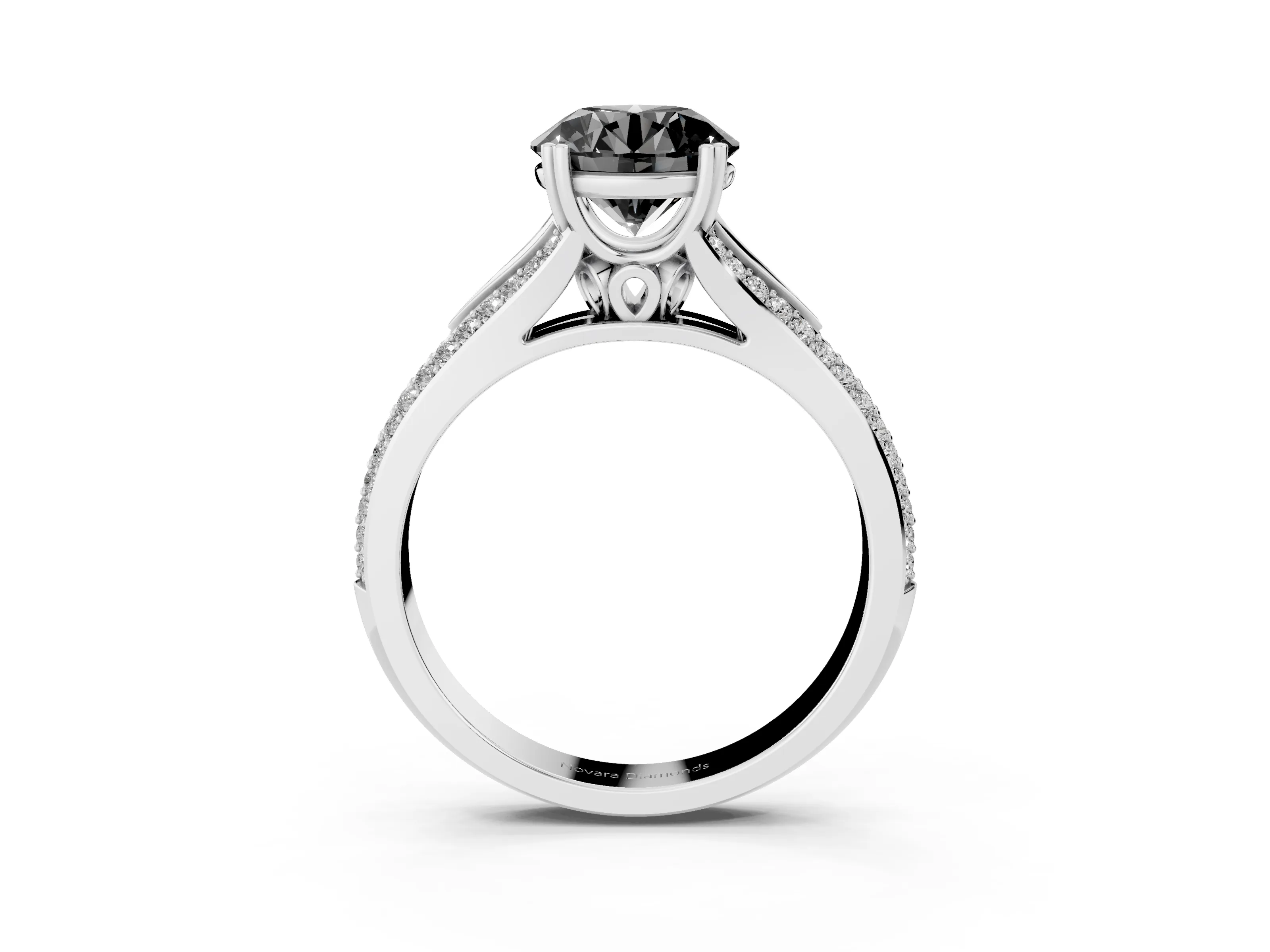 Fancy Black Round Cut Diamond Split Shank Pavé Engagement Ring Set in Platinum with Prong-Set Center Stone