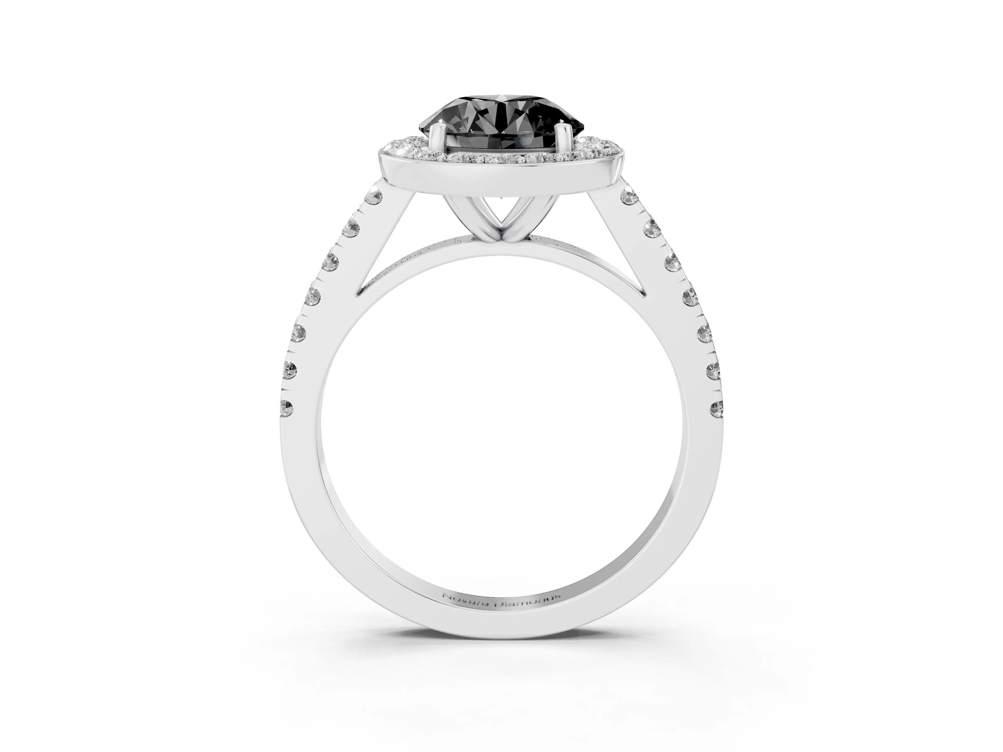 Fancy Black Round Cut Diamond Halo Ring Set in White gold with Round Pavé Split Shank and Prong Setting