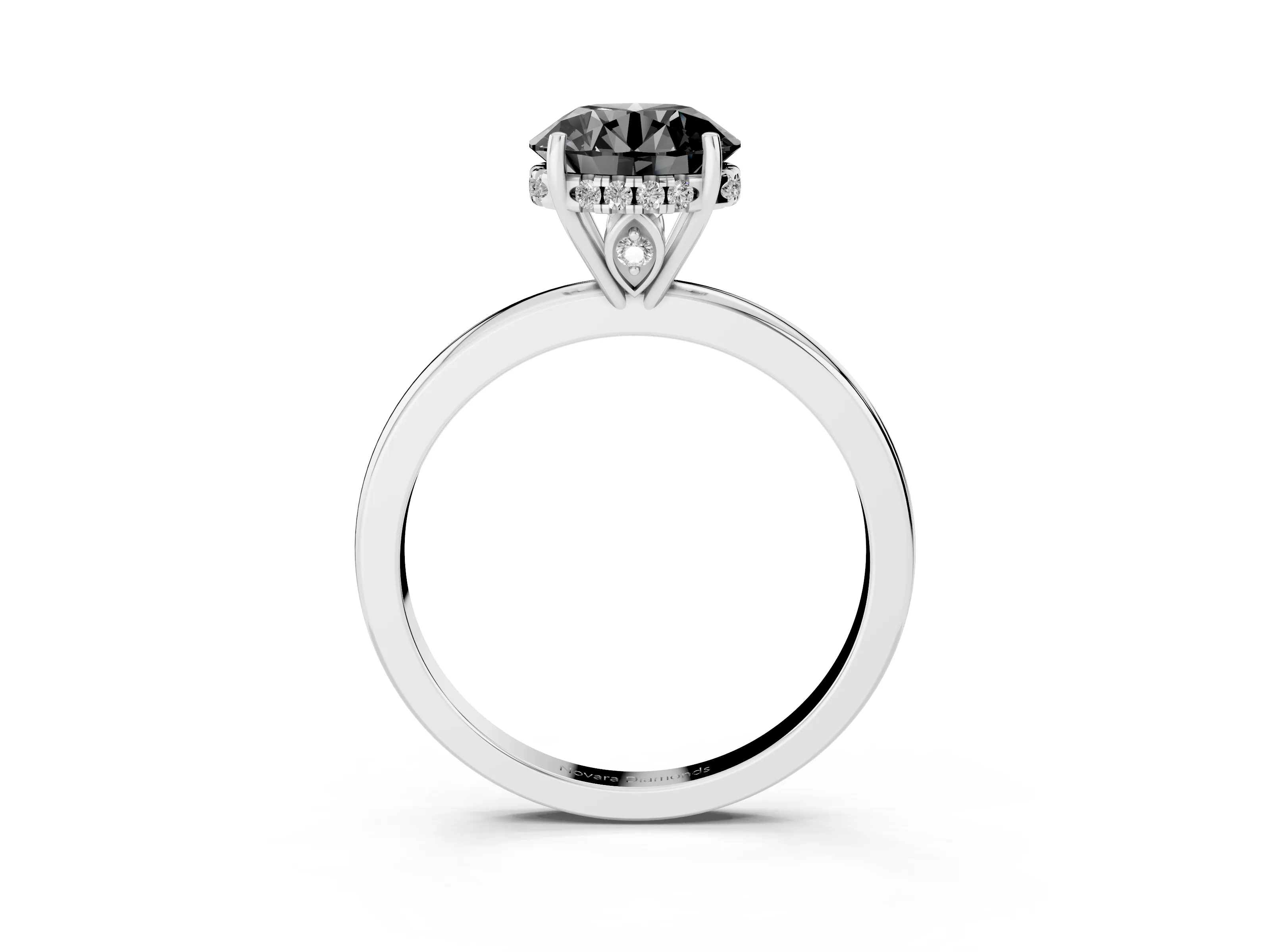 Fancy Black Round Cut Diamond Solitaire Ring Set in Platinum with Plain Band and Prong Setting
