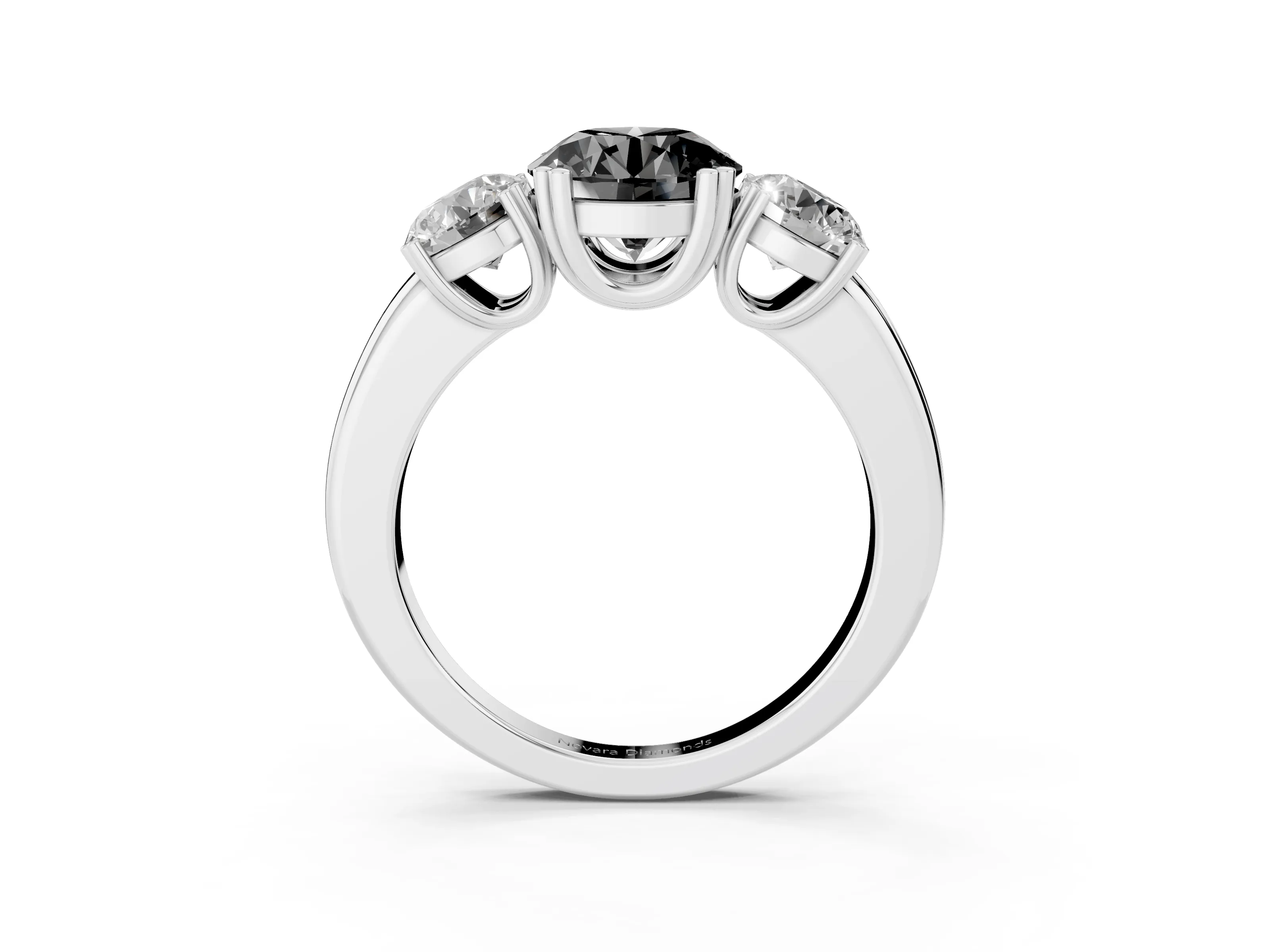 Fancy Black Round Cut Diamond Three-Stone Ring Set in White gold with Polished Channel-Set Band