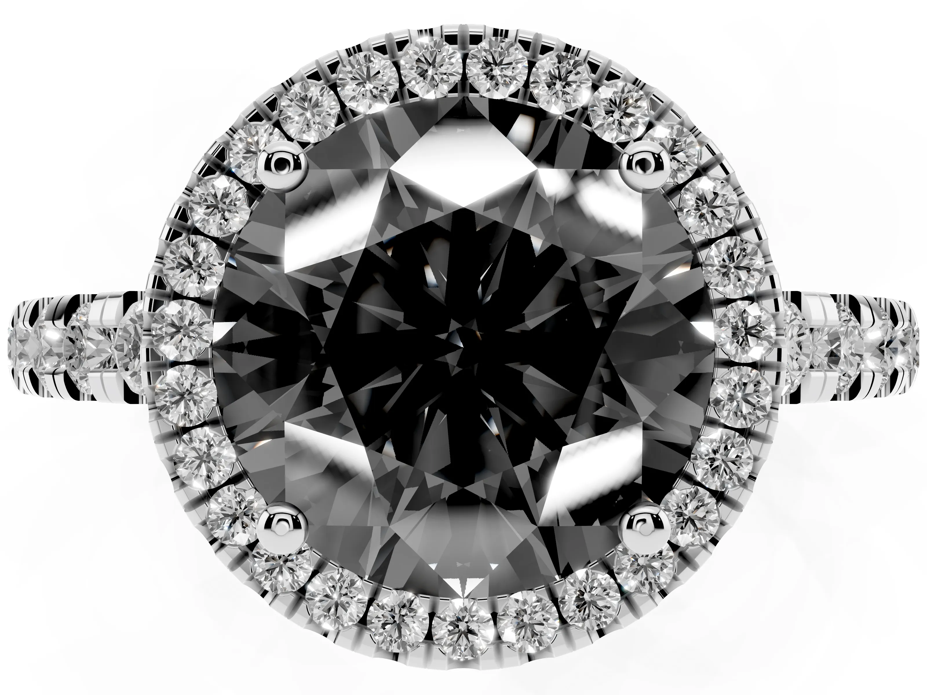 Fancy Black Round Cut Diamond Halo Ring Set in Platinum with Delicate Pavé Band and Prong Setting