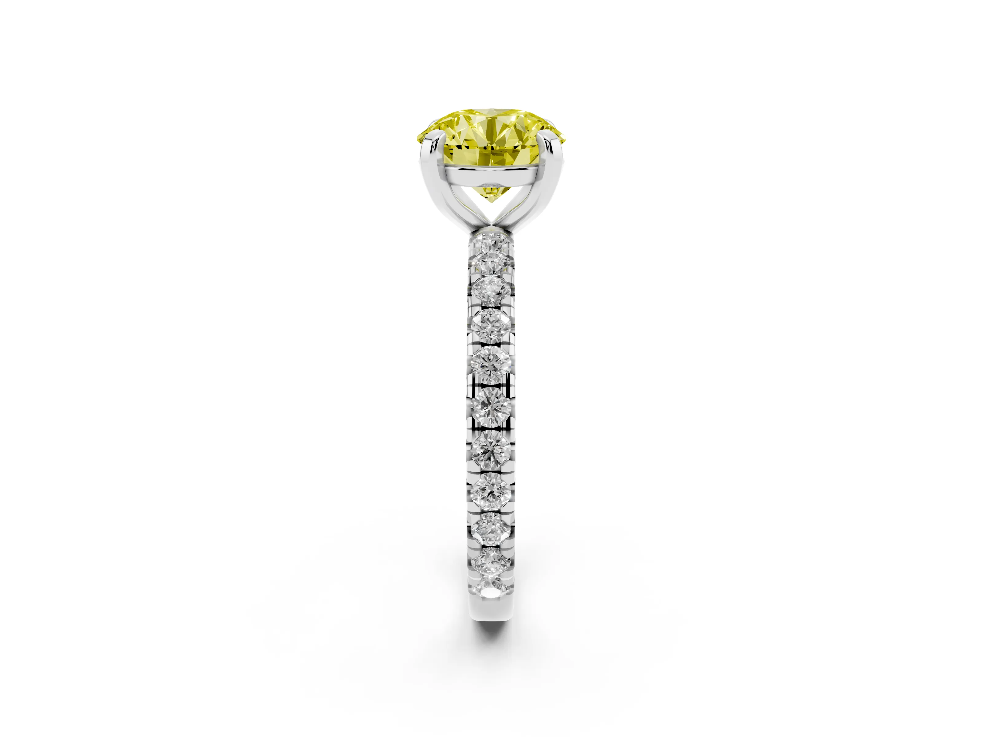 Fancy Yellow Round Cut Diamond Pavé Solitaire Ring Set in White gold with Round Band and Prong Setting