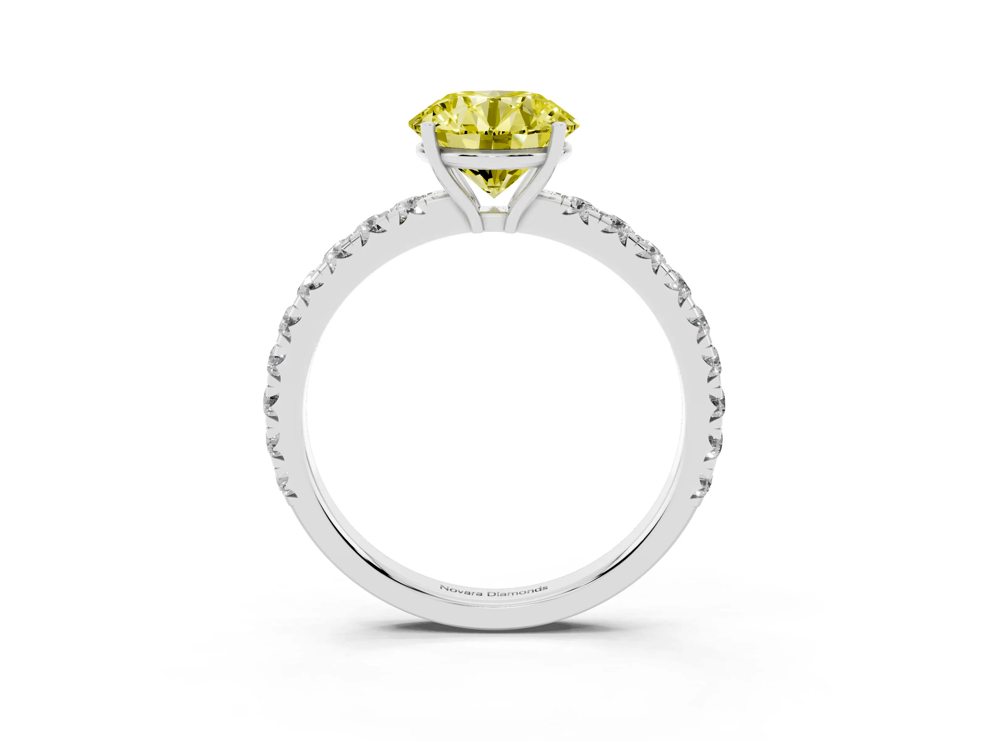 Fancy Yellow Round Cut Diamond Pavé Solitaire Engagement Ring Set in White gold with Prong Setting