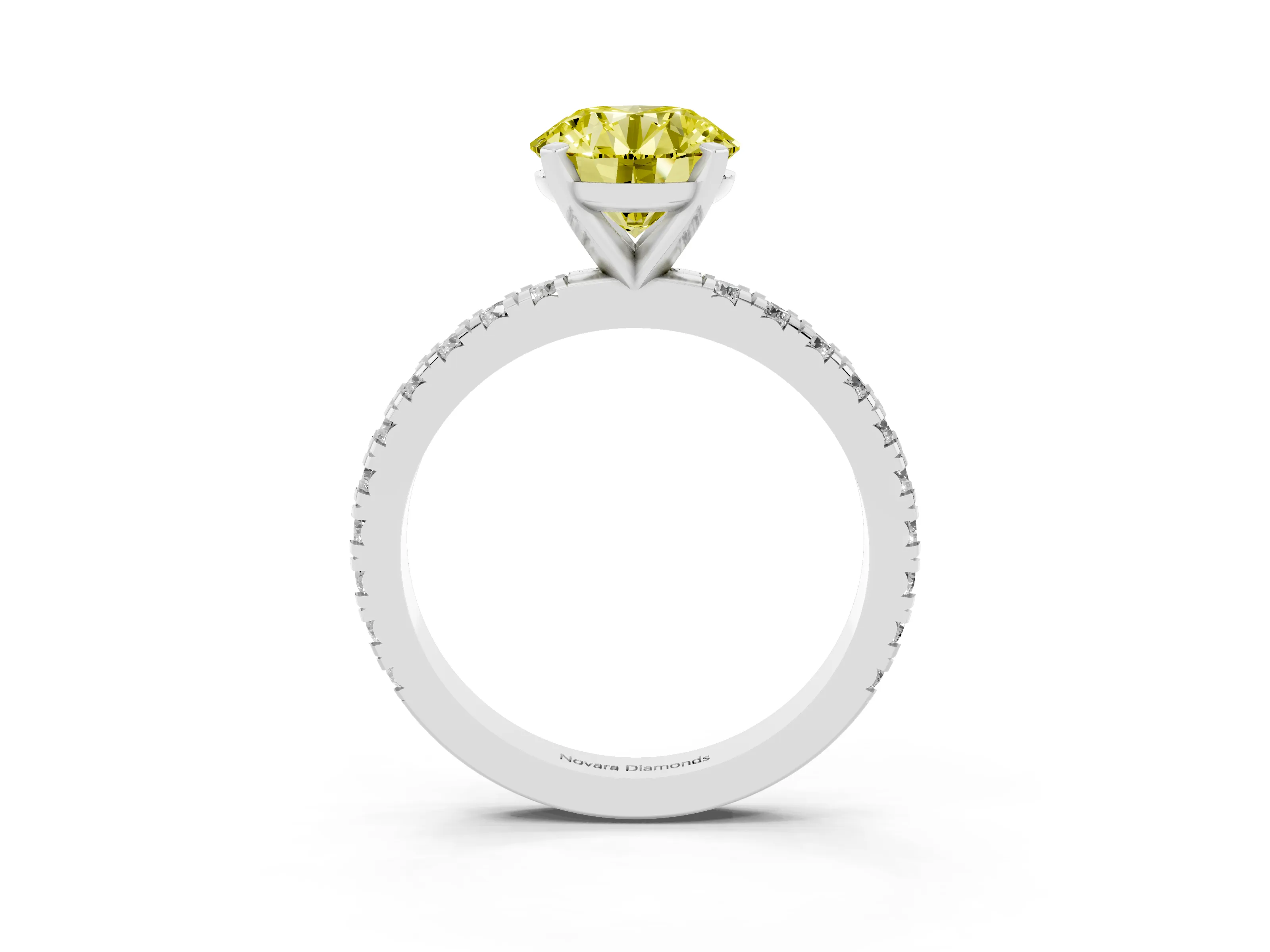Fancy Yellow Round Cut Diamond Pavé Band Solitaire Set in White gold with Prong Setting