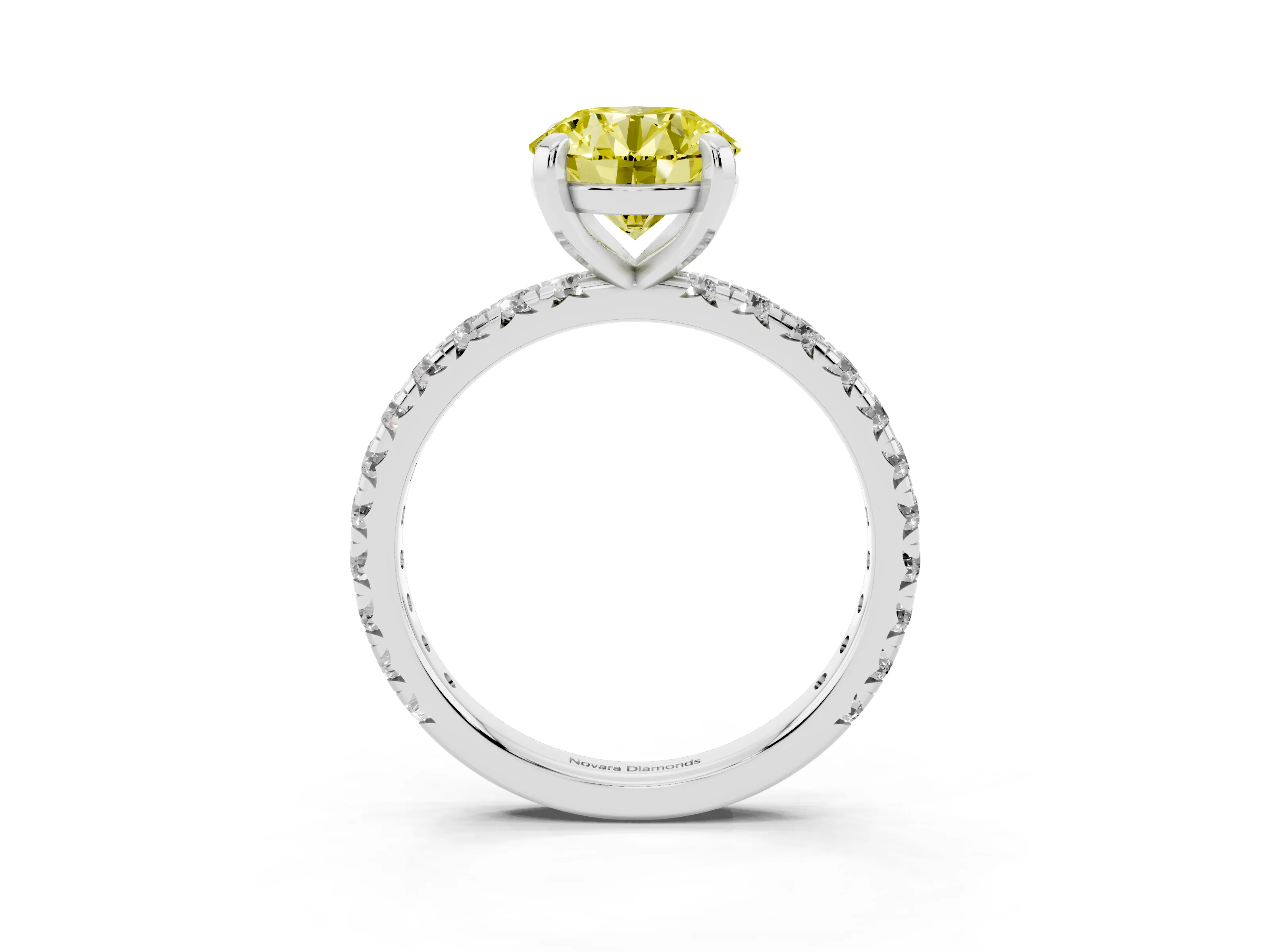 Fancy Yellow Round Cut Diamond Pavé Solitaire Ring Set in White gold with Round Band and Prong Setting