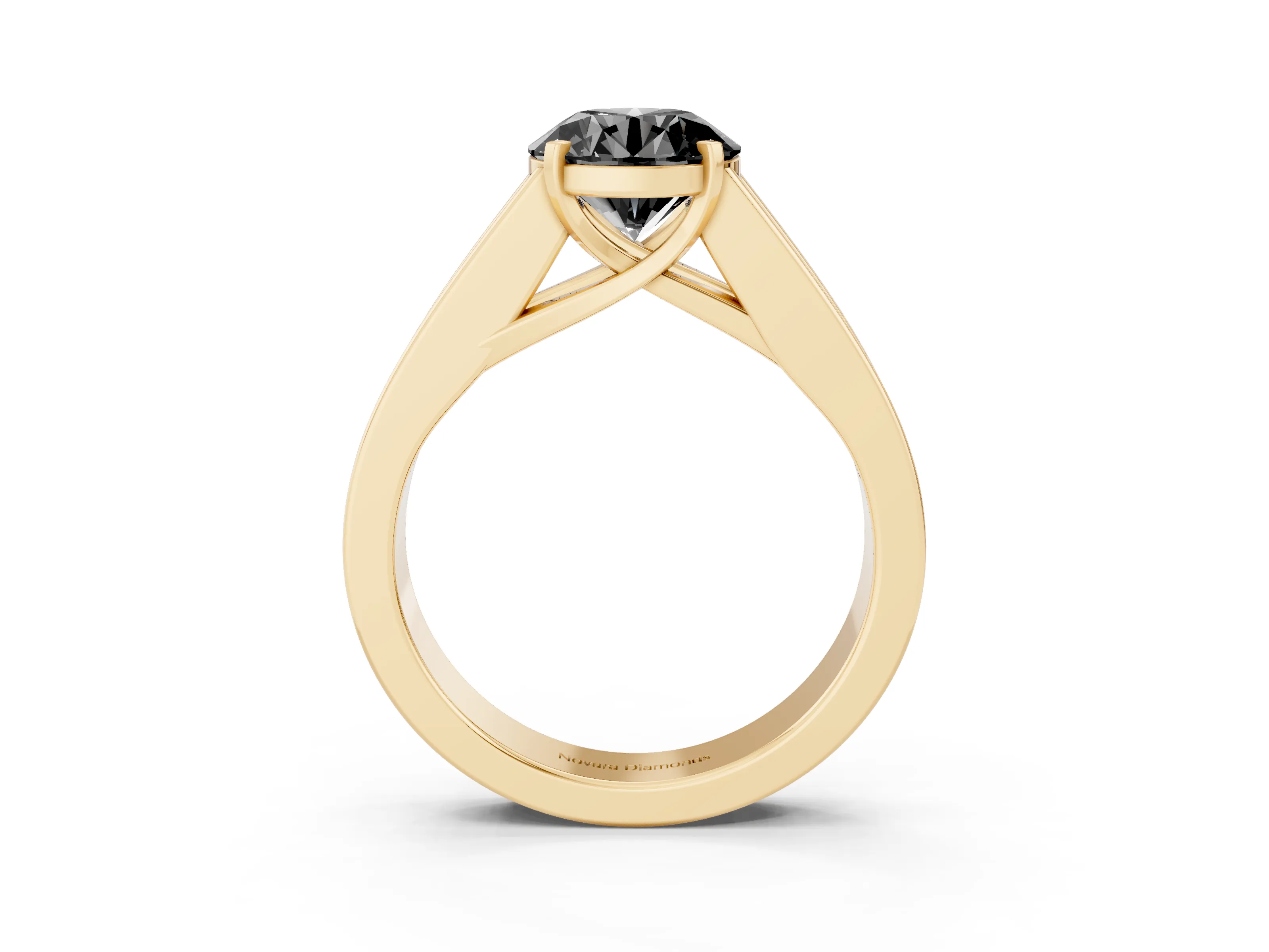 Fancy Black Round Cut Diamond Solitaire Ring Set in Yellow gold with Channel-Set Accent Stones and Prong Setting