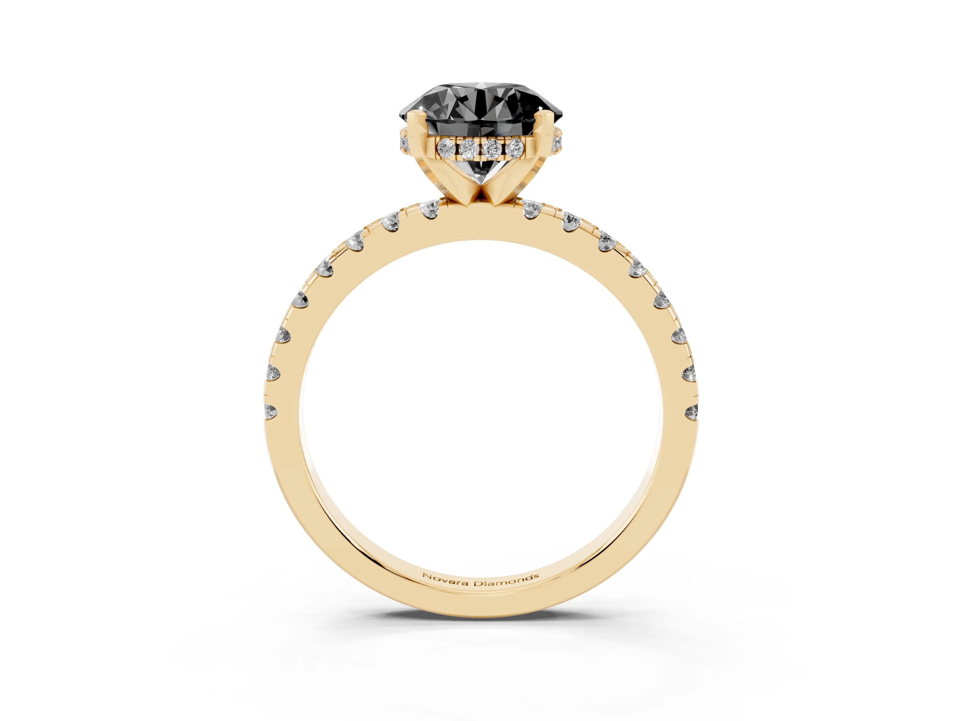 Fancy Black Round Cut Diamond Pavé Solitaire Ring Set in Yellow gold with Round Band Accents and Prong Setting