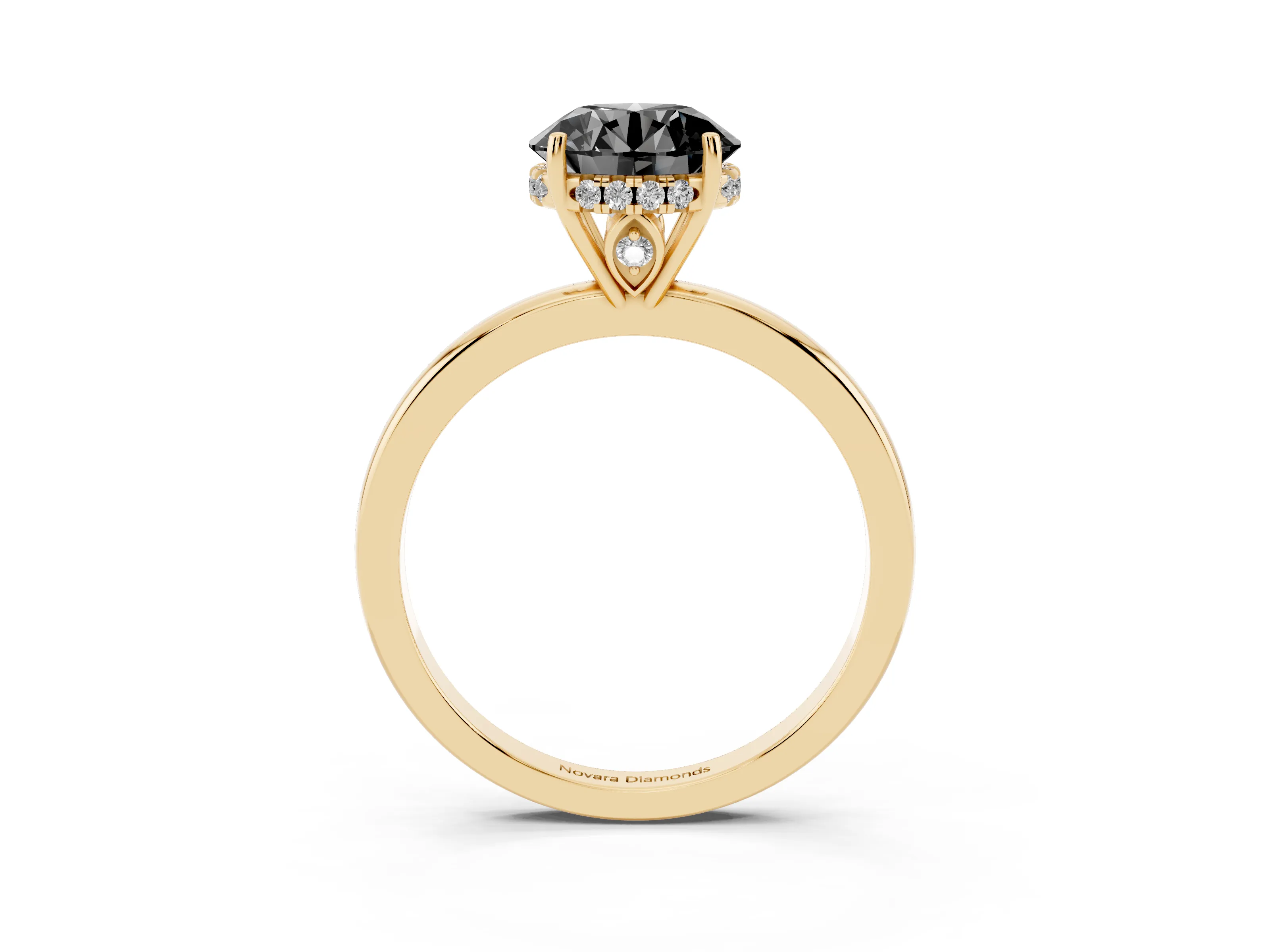 Fancy Black Round Cut Diamond Solitaire Ring Set in Yellow gold with Plain Band and Prong Setting