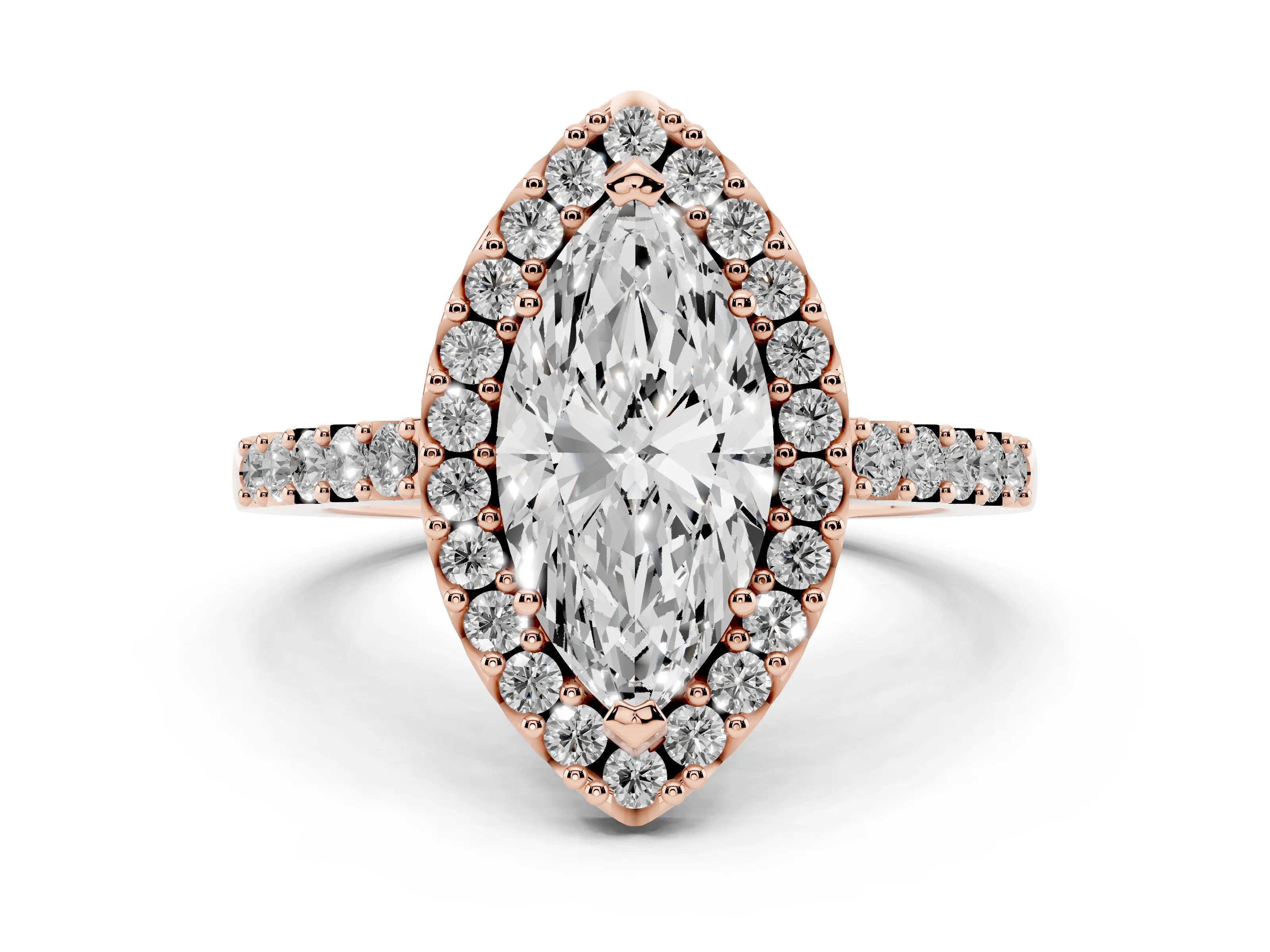Marquise