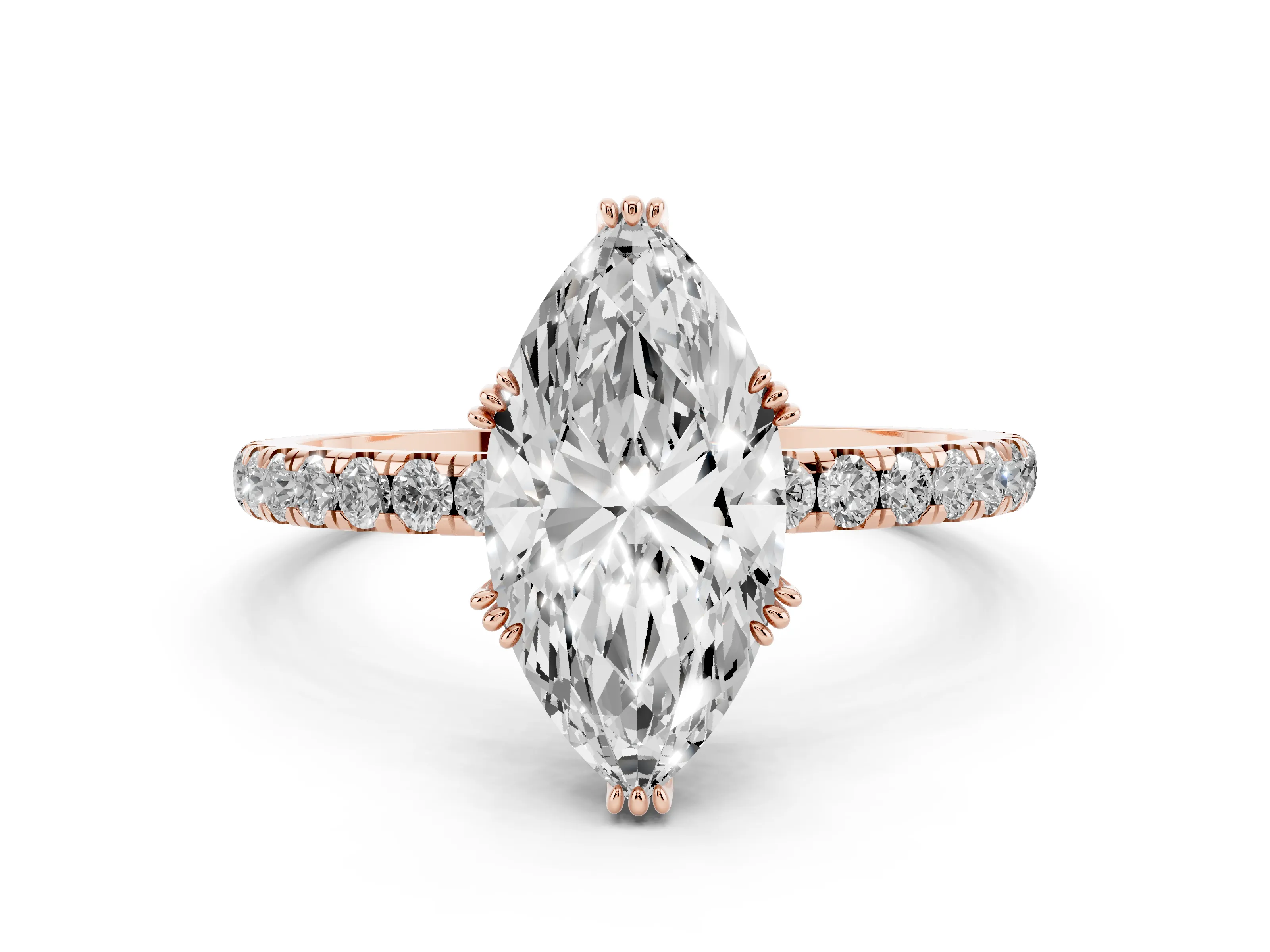 Marquise