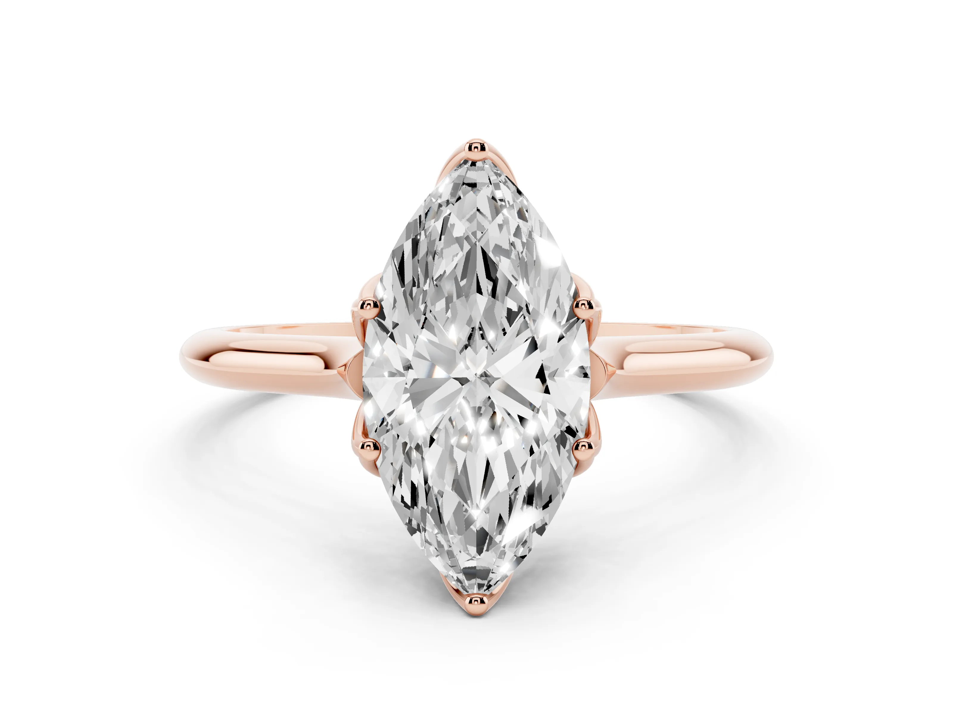 Marquise