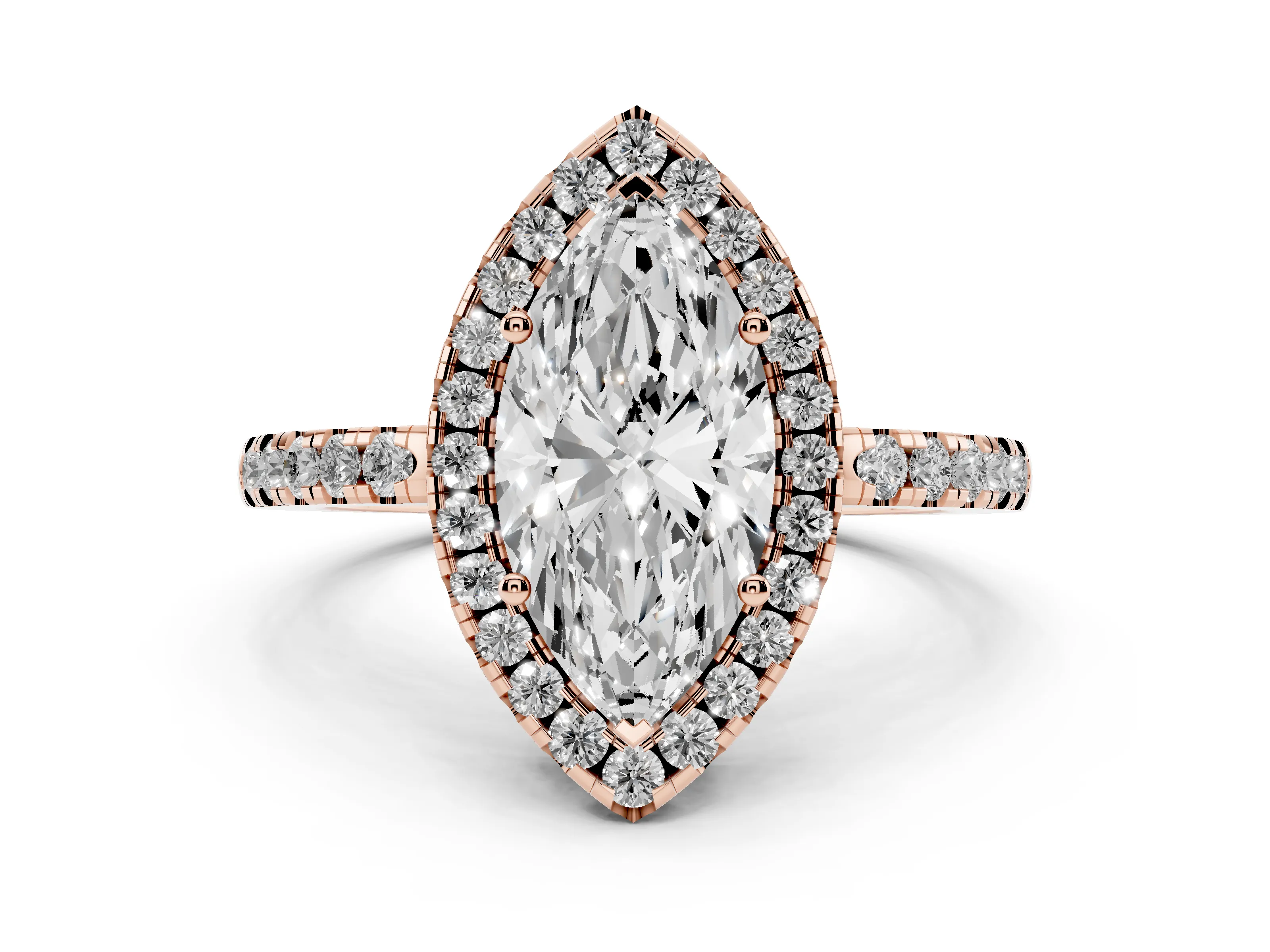 Marquise
