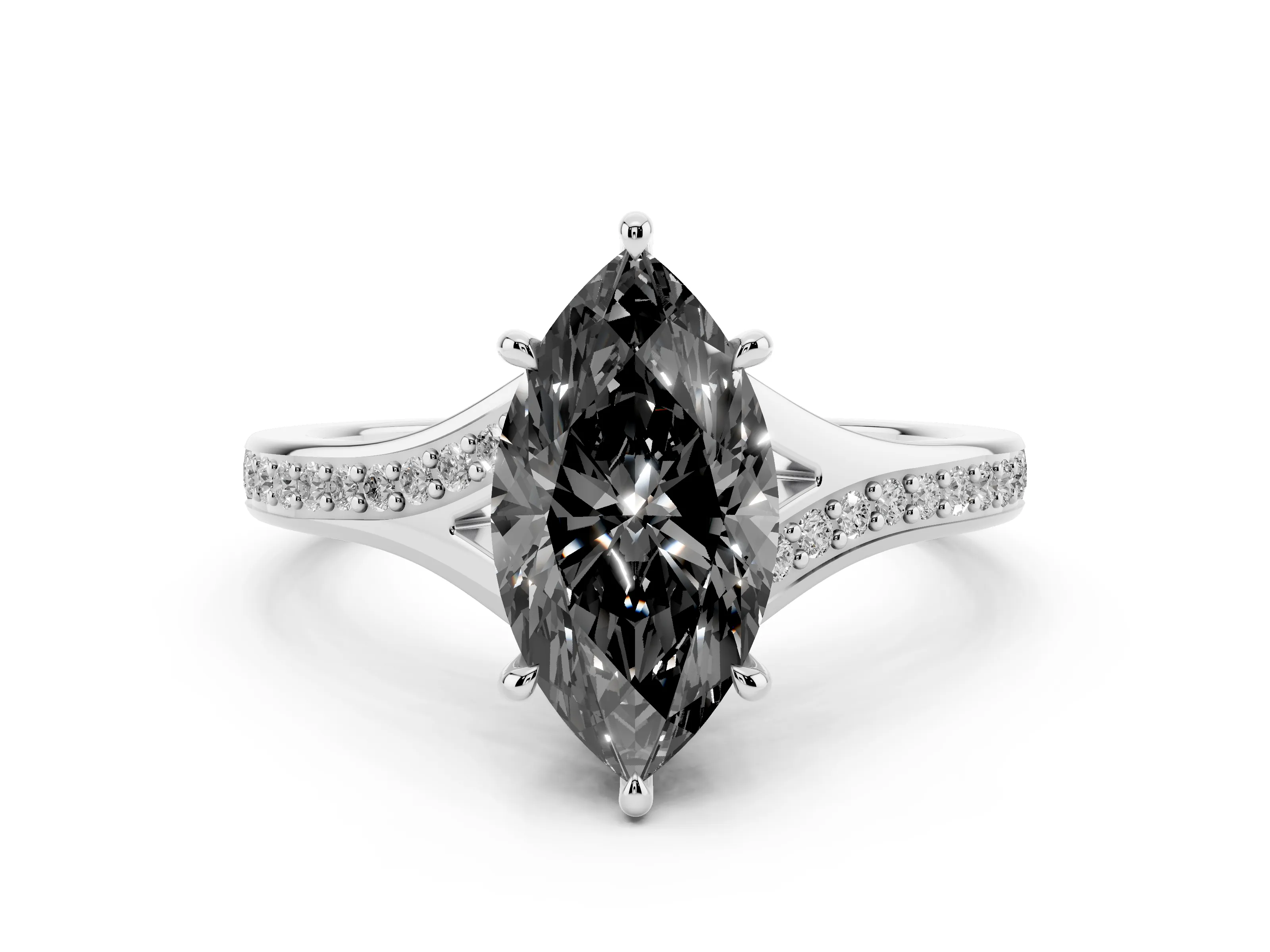 Marquise