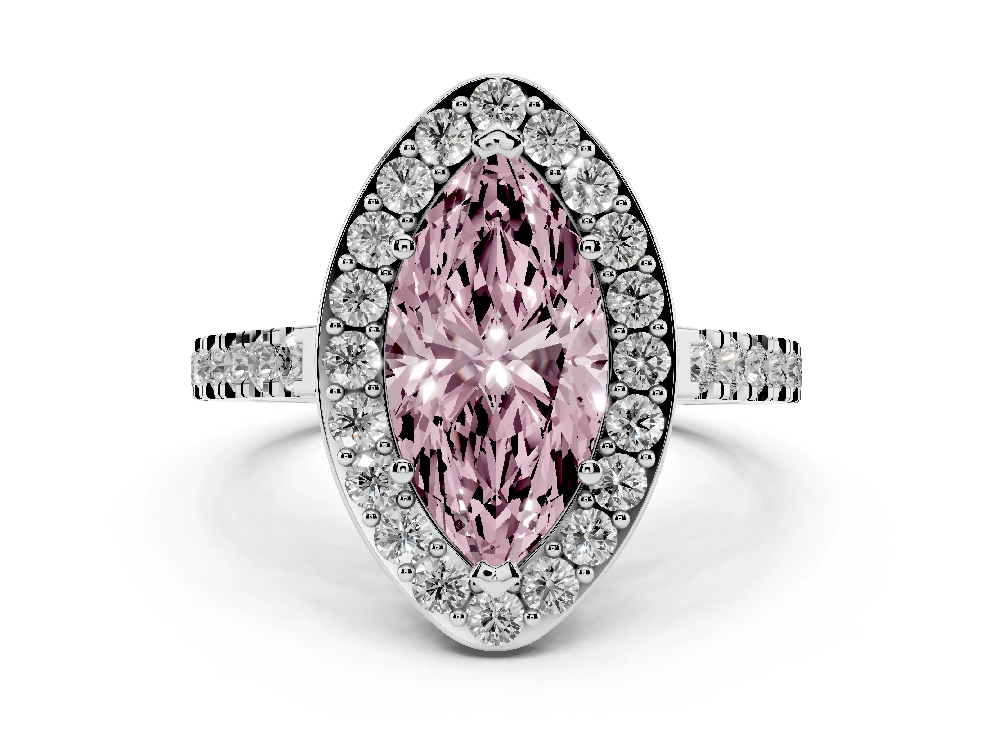 Marquise