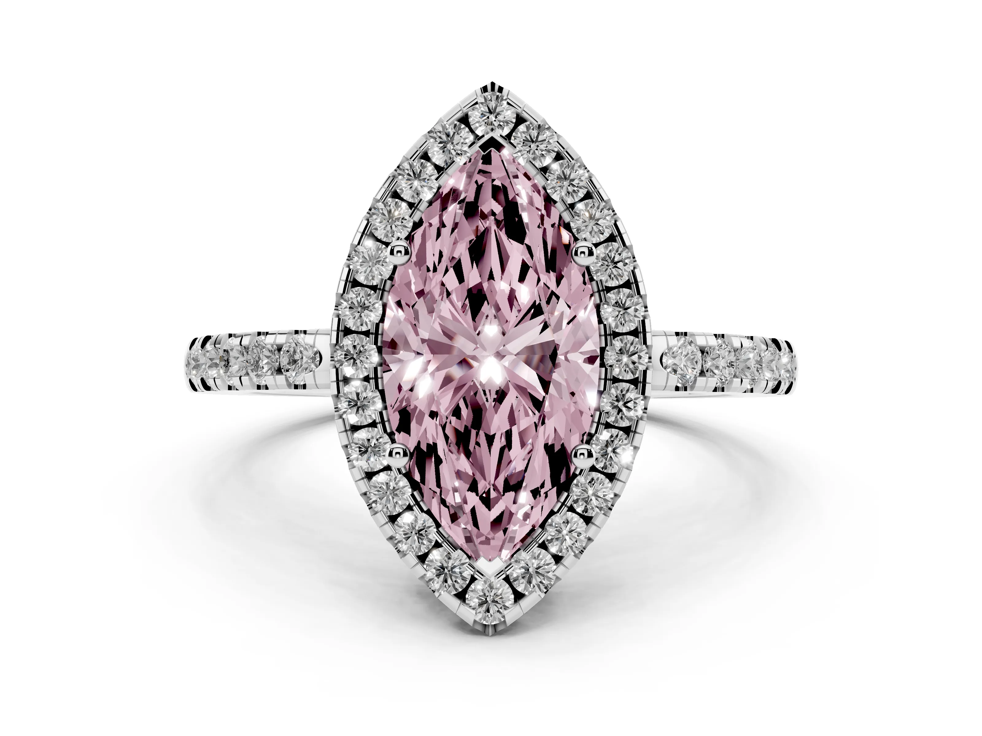 Marquise