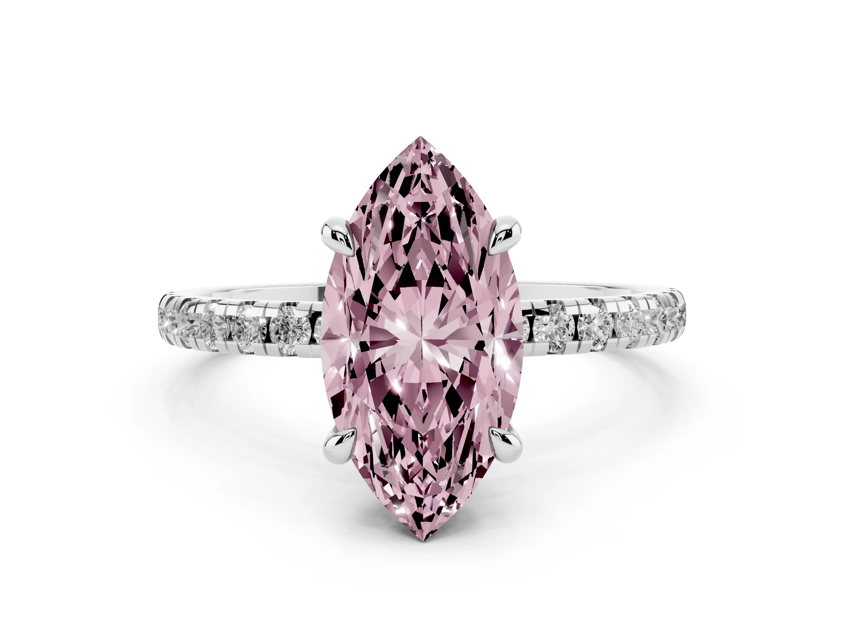 Marquise