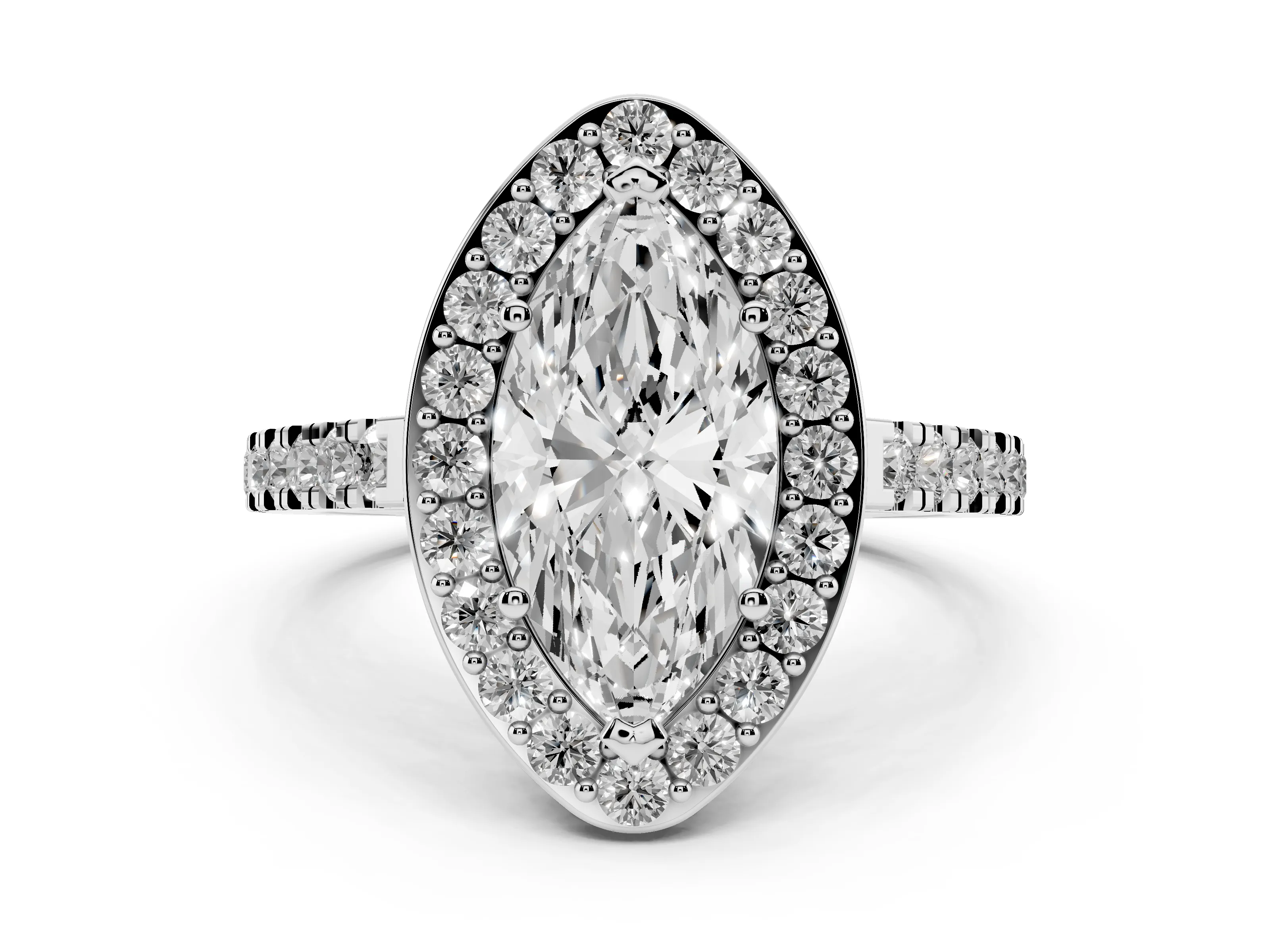 Marquise