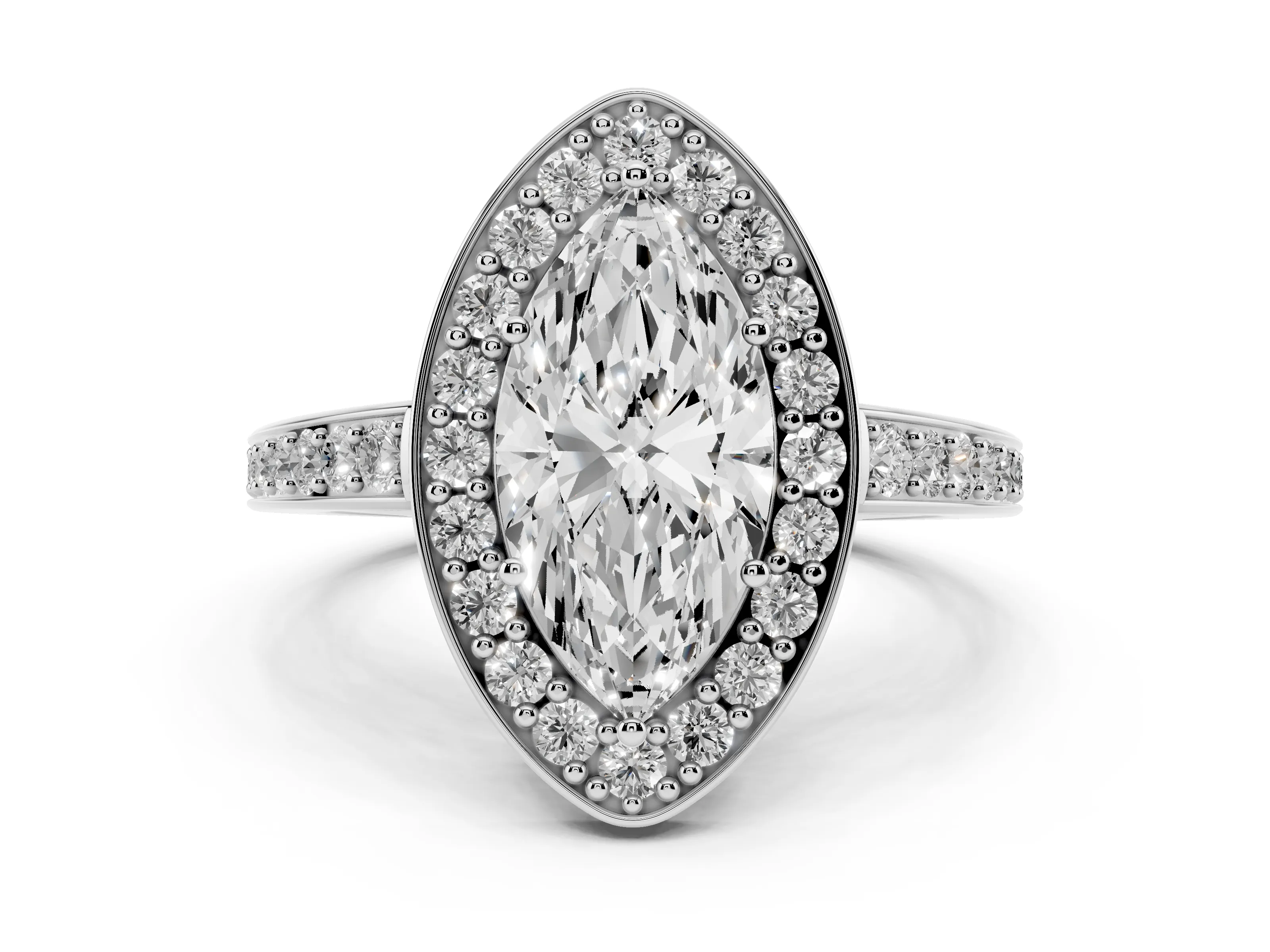 Marquise