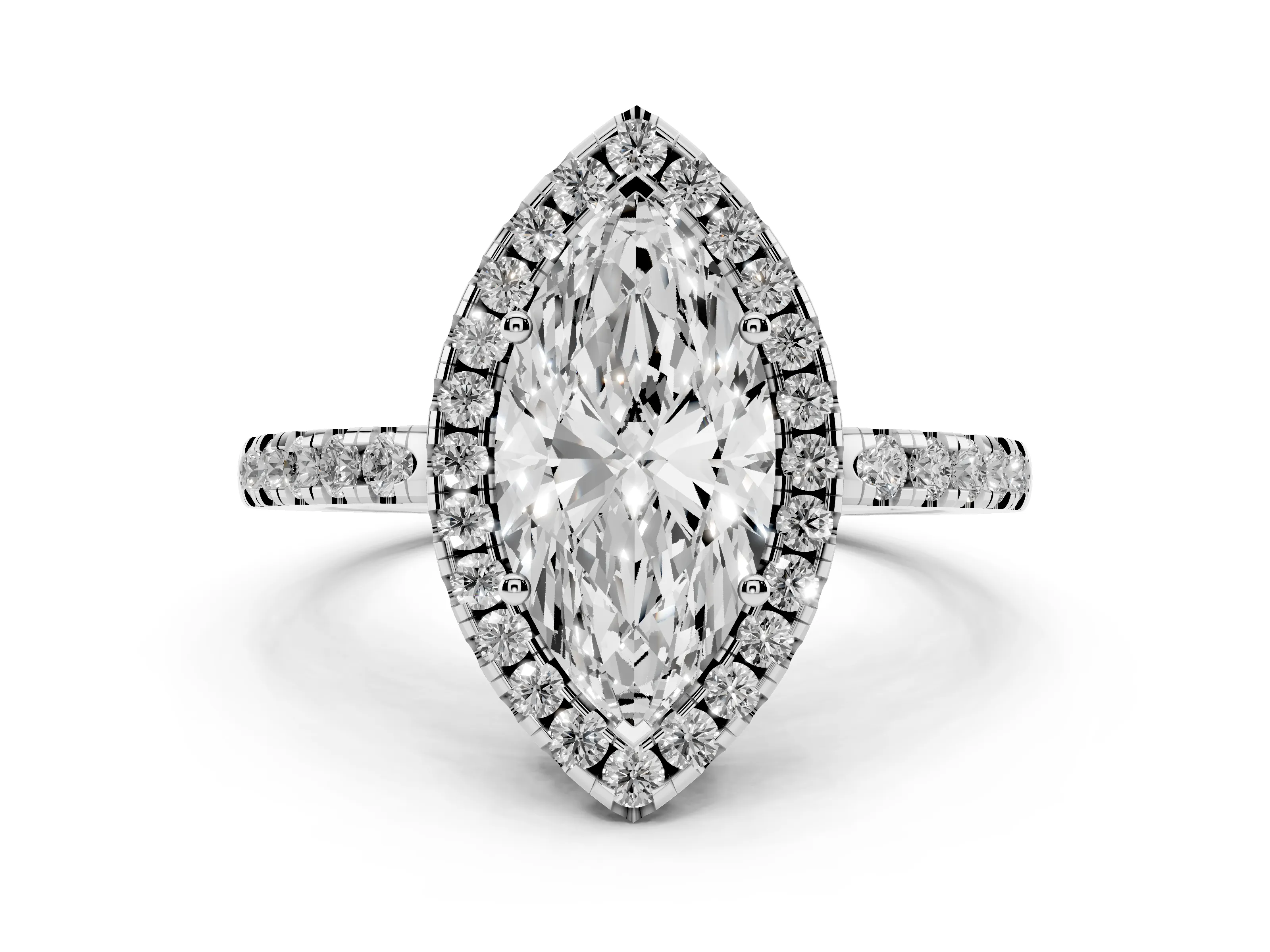 Marquise