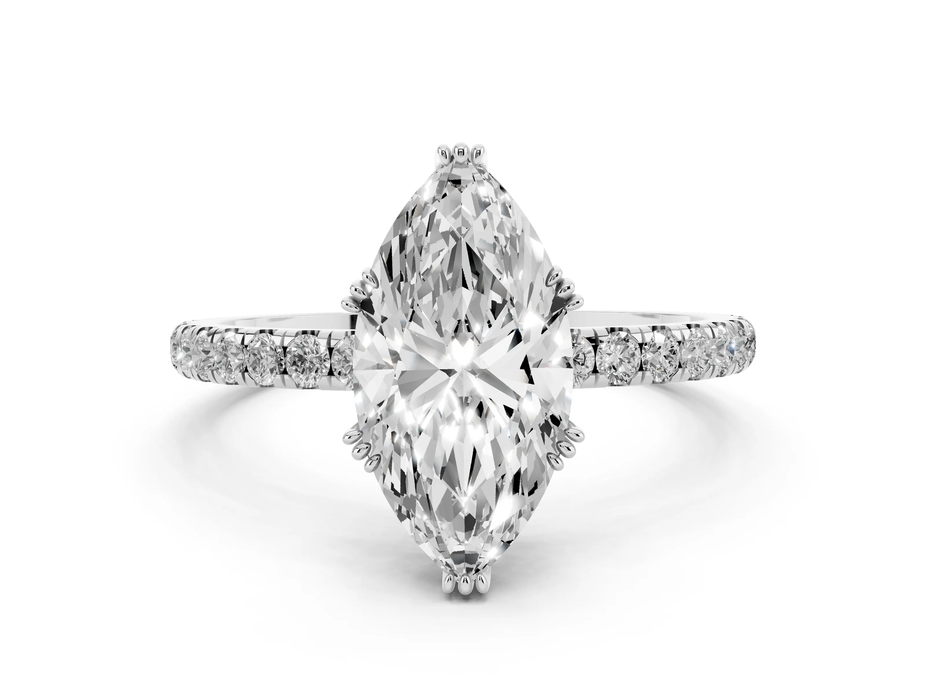 Marquise