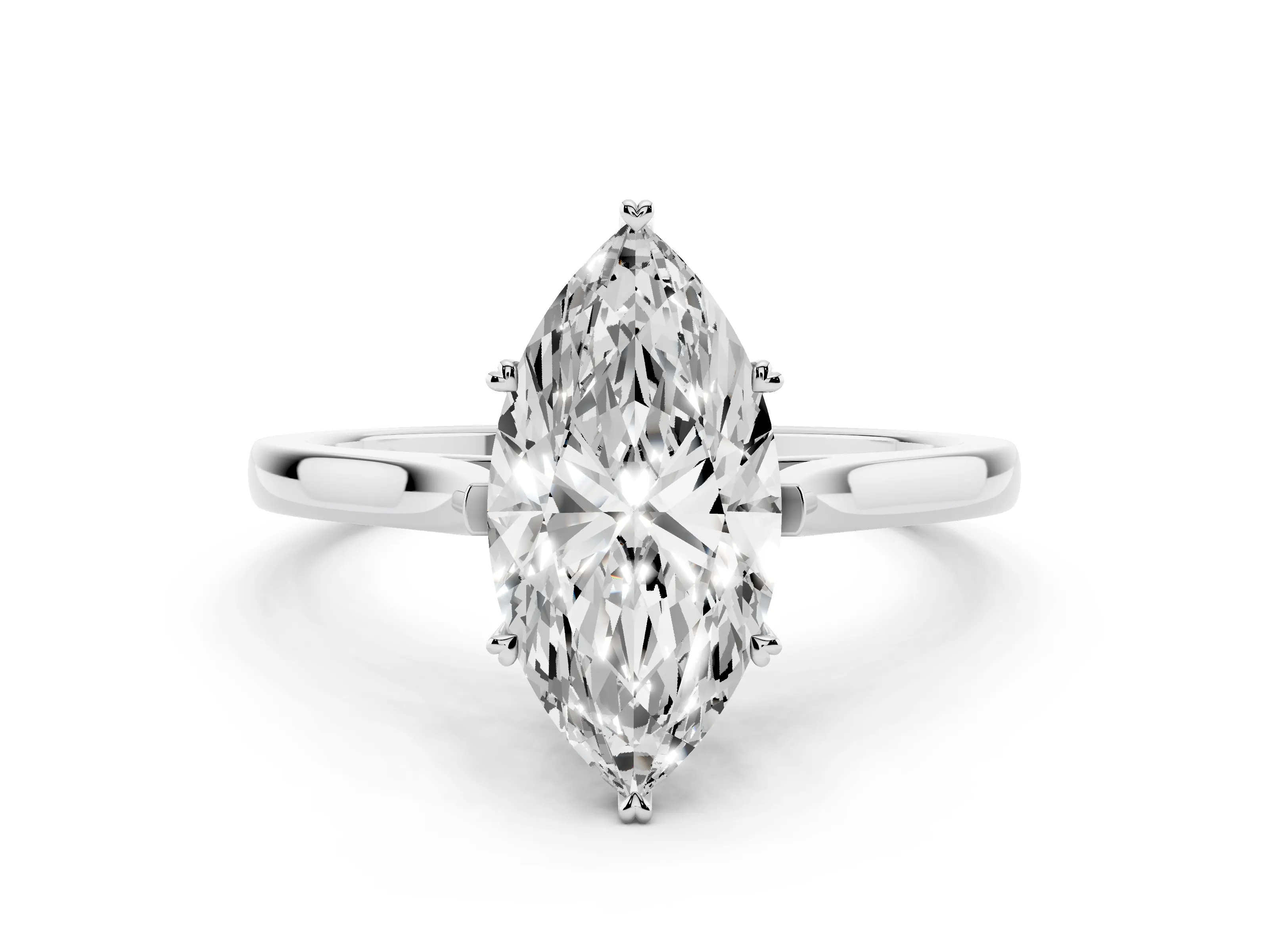 Marquise