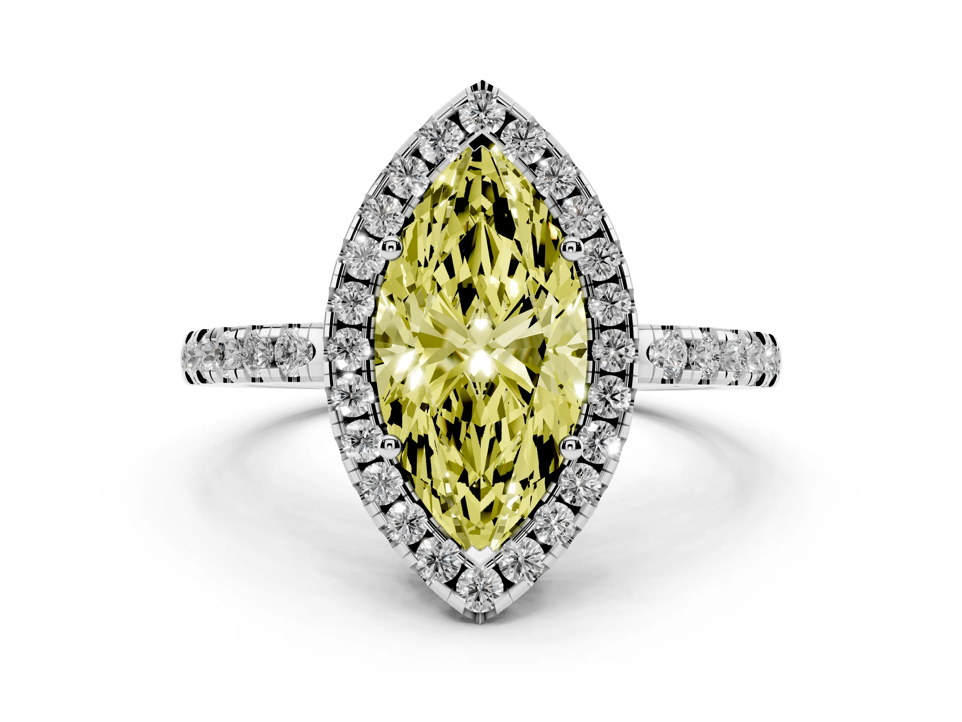 Marquise