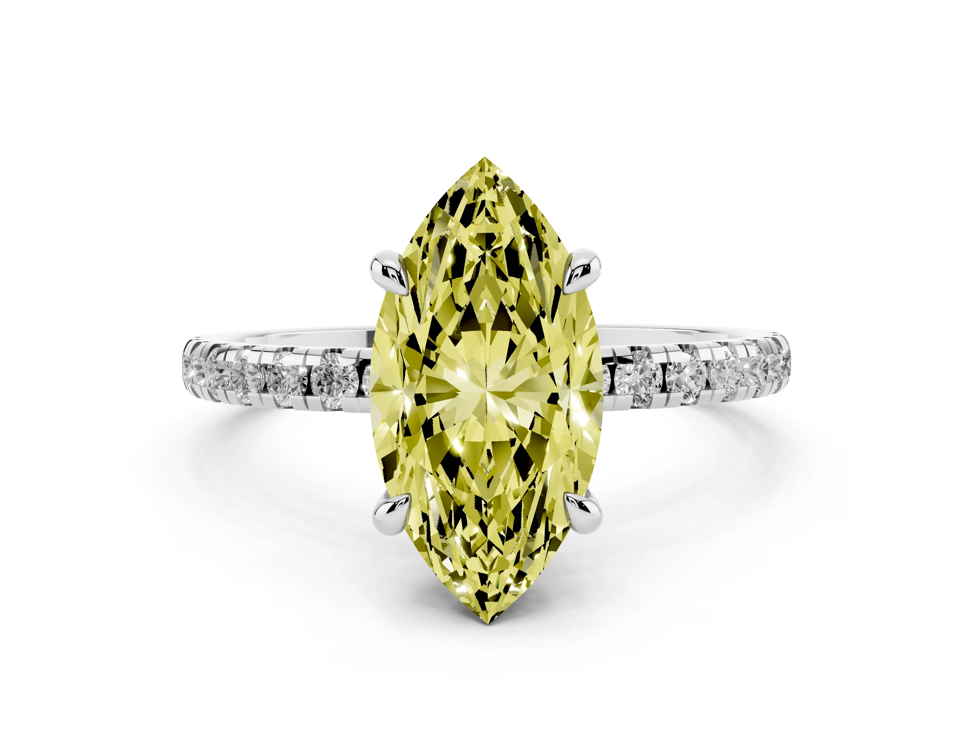 Marquise