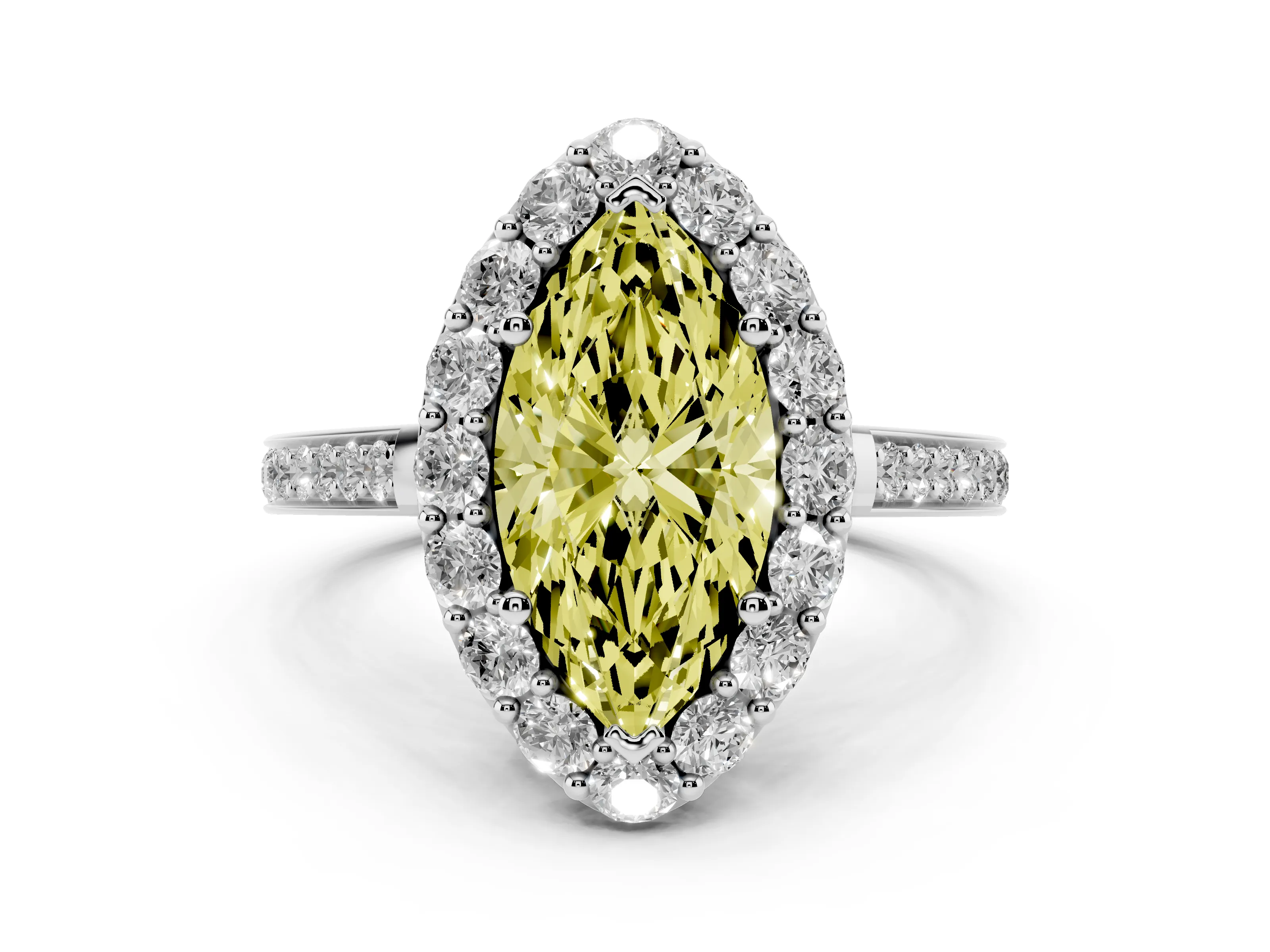 Marquise