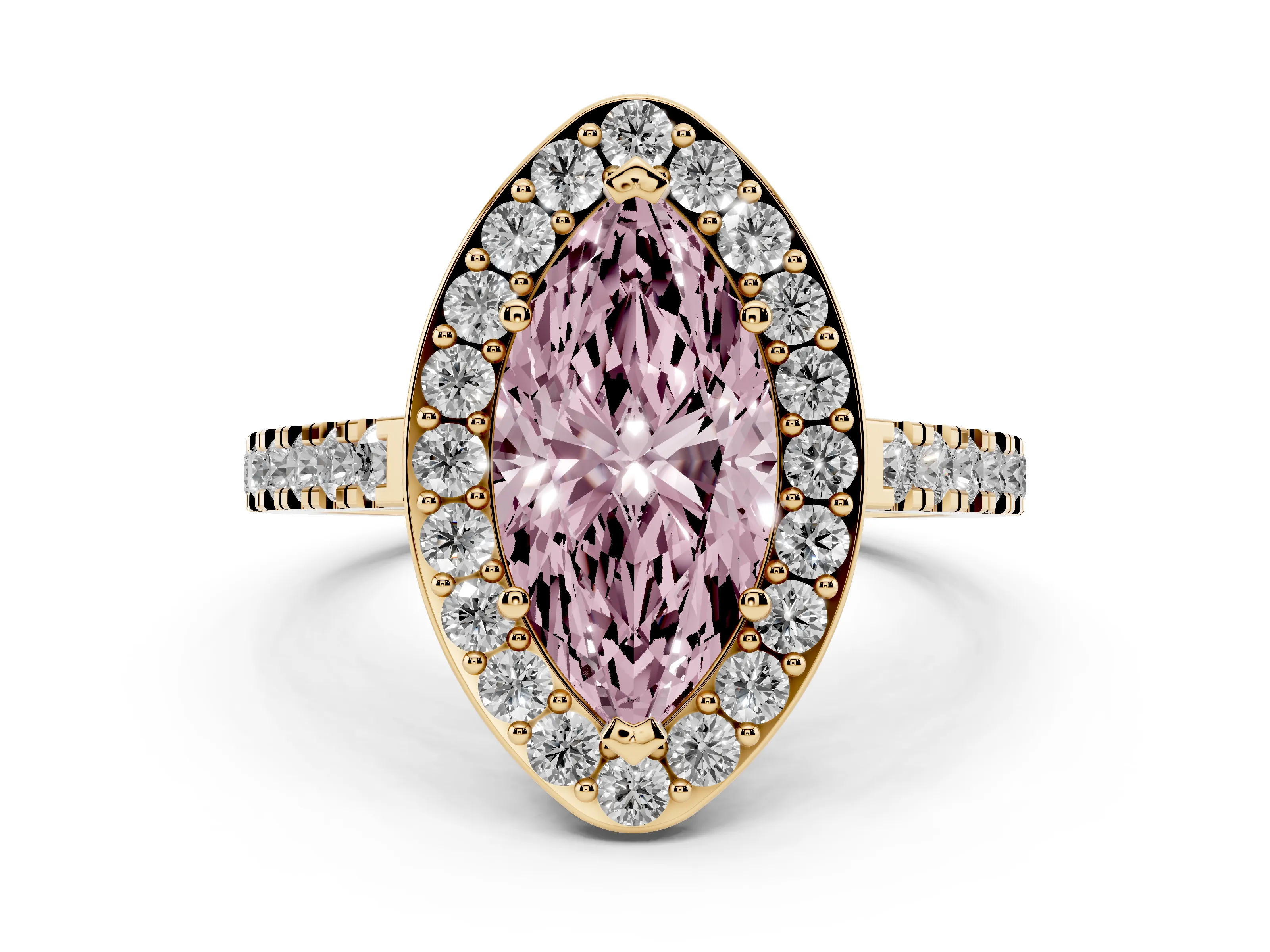 Marquise