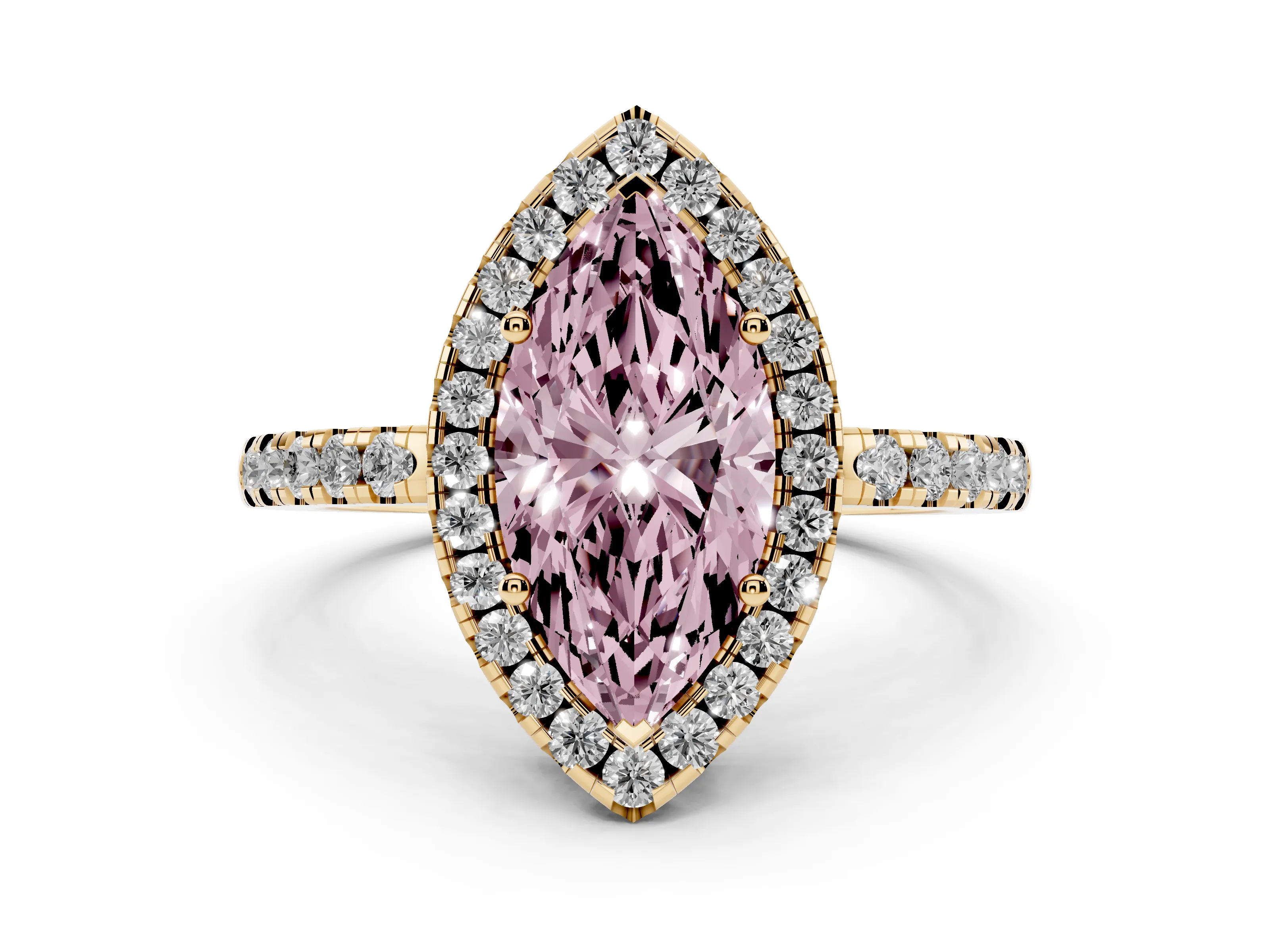 Marquise