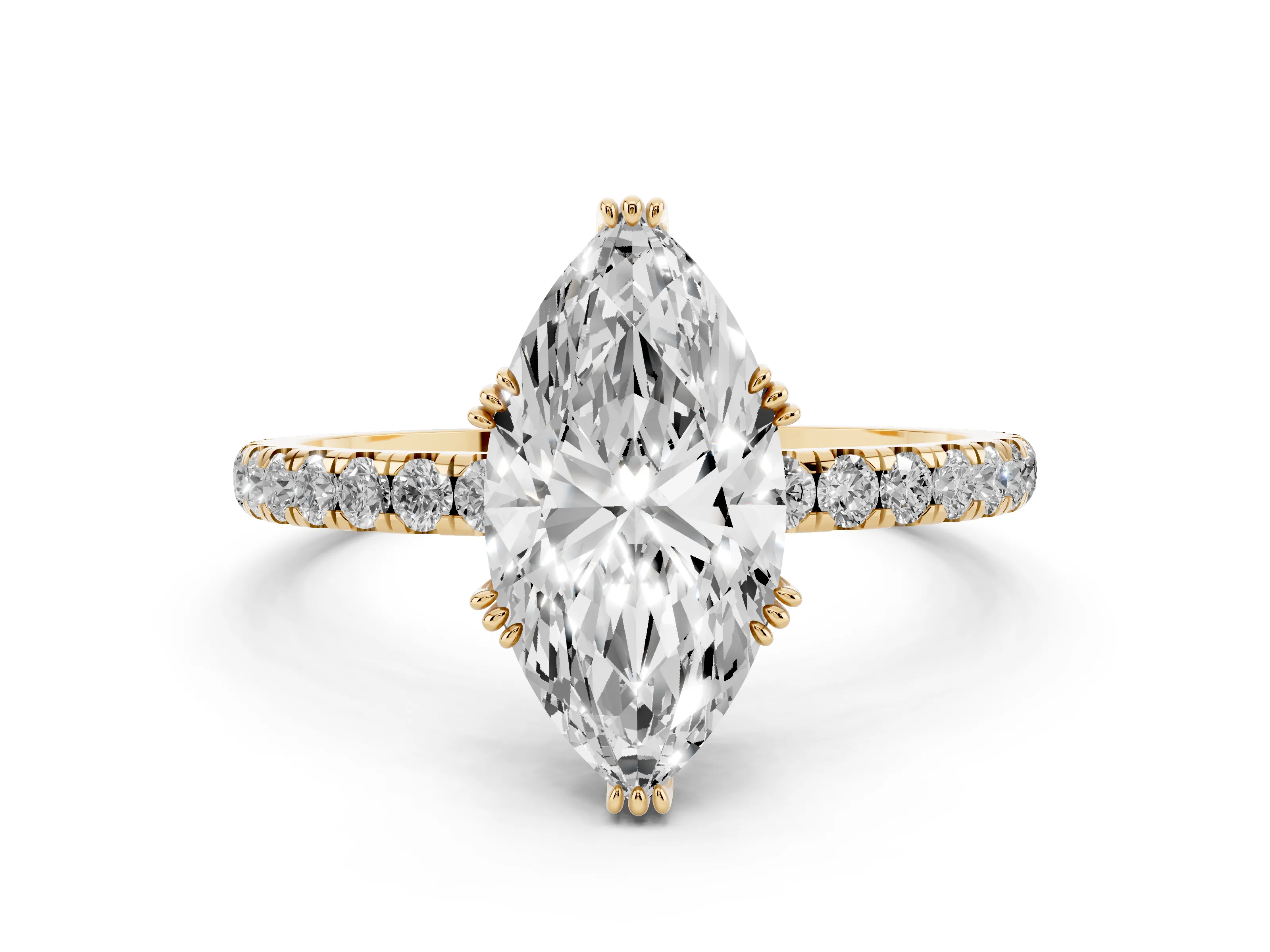 Marquise