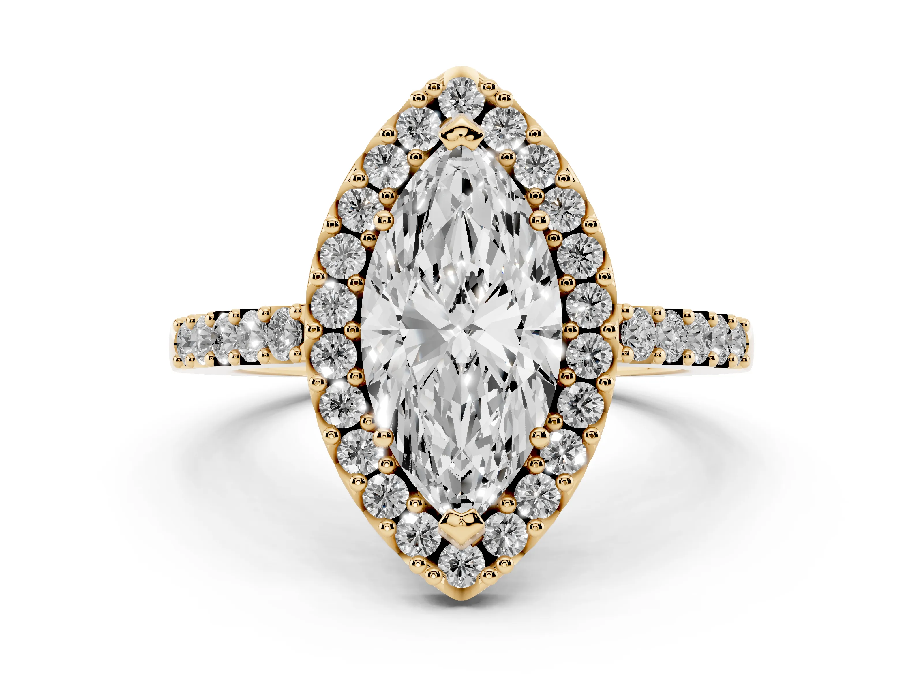 Marquise