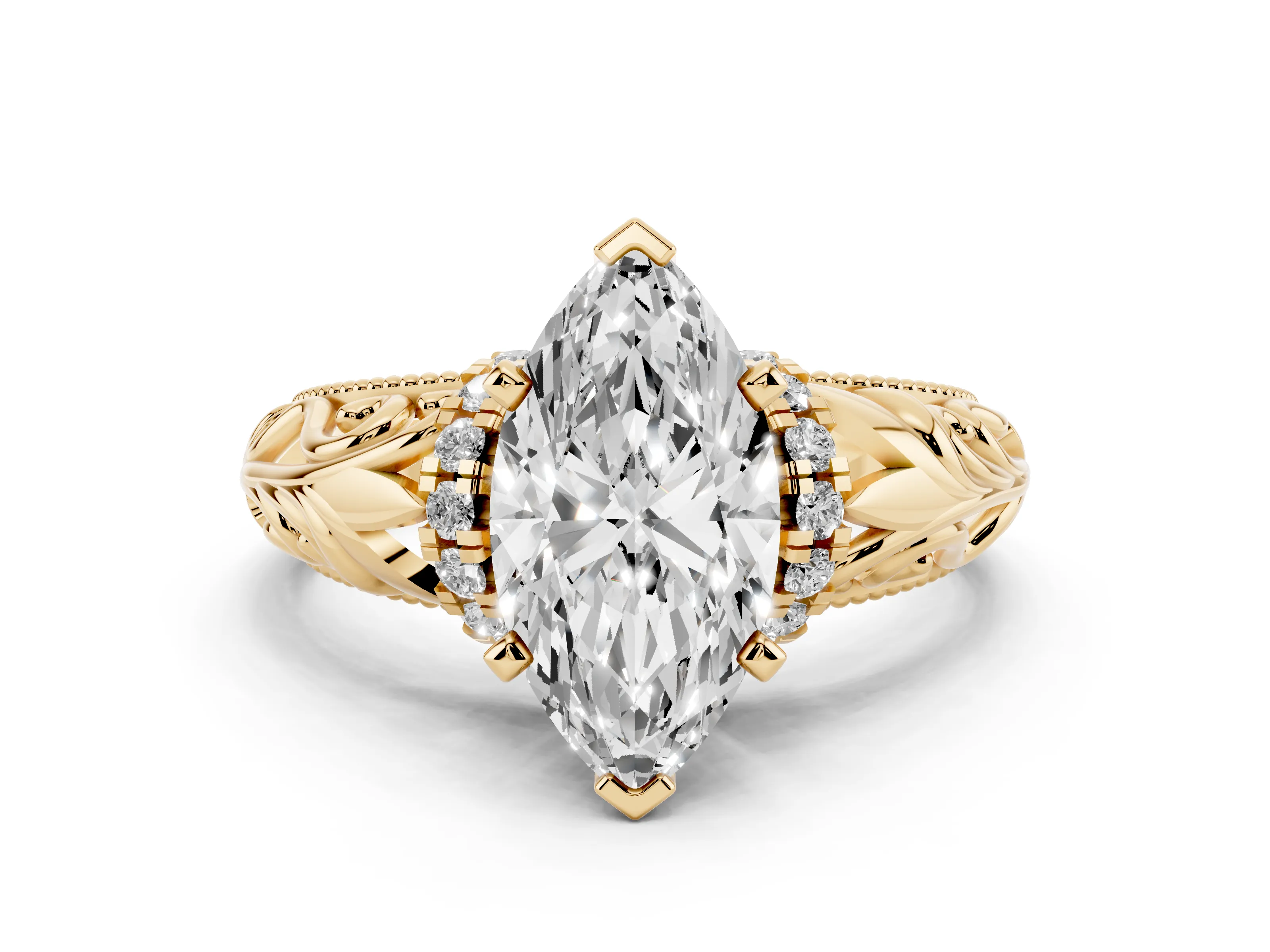Marquise