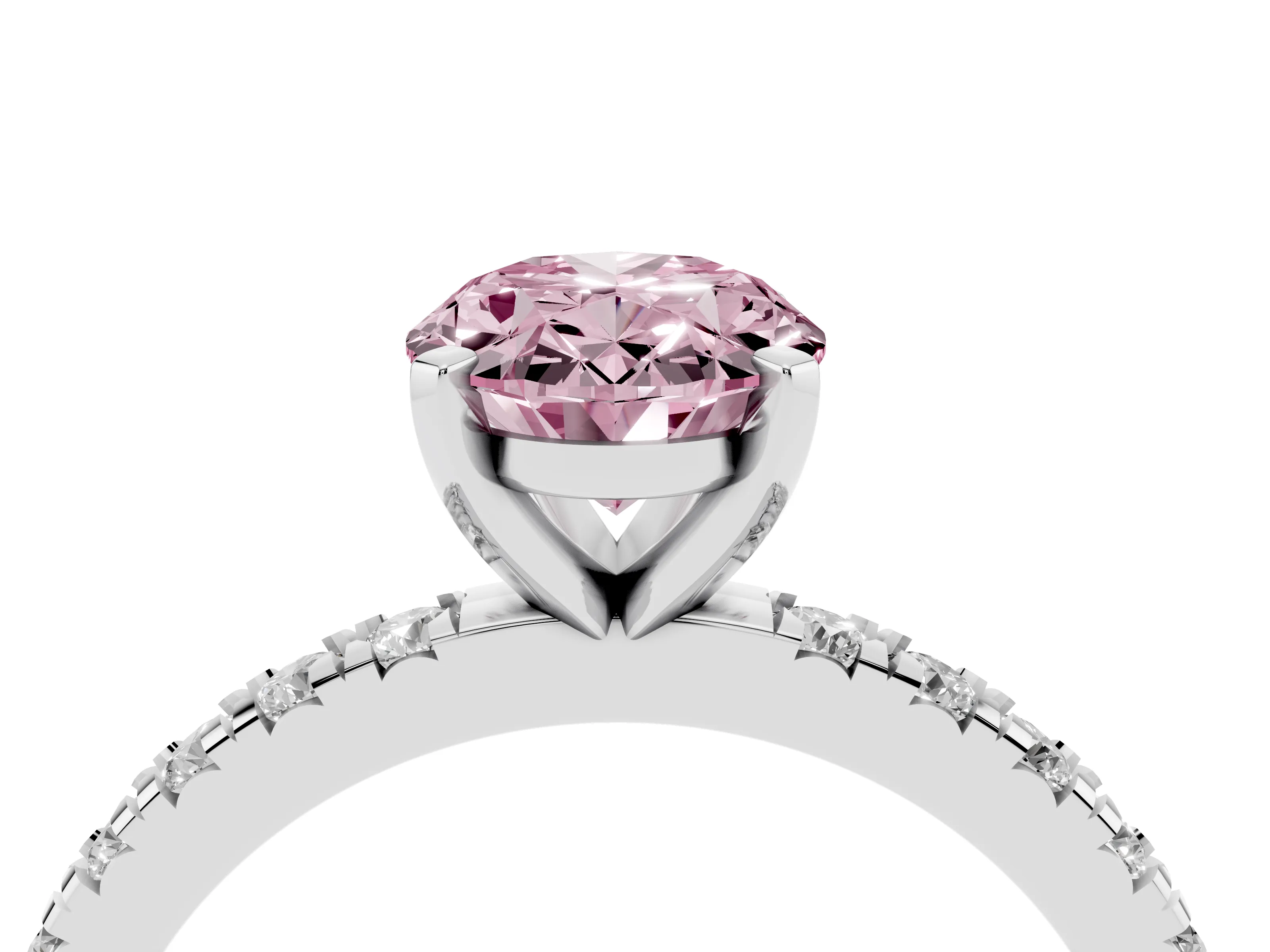 Fancy Pink Oval Cut Diamond Pavé Band Solitaire Set in White gold with Prong Setting