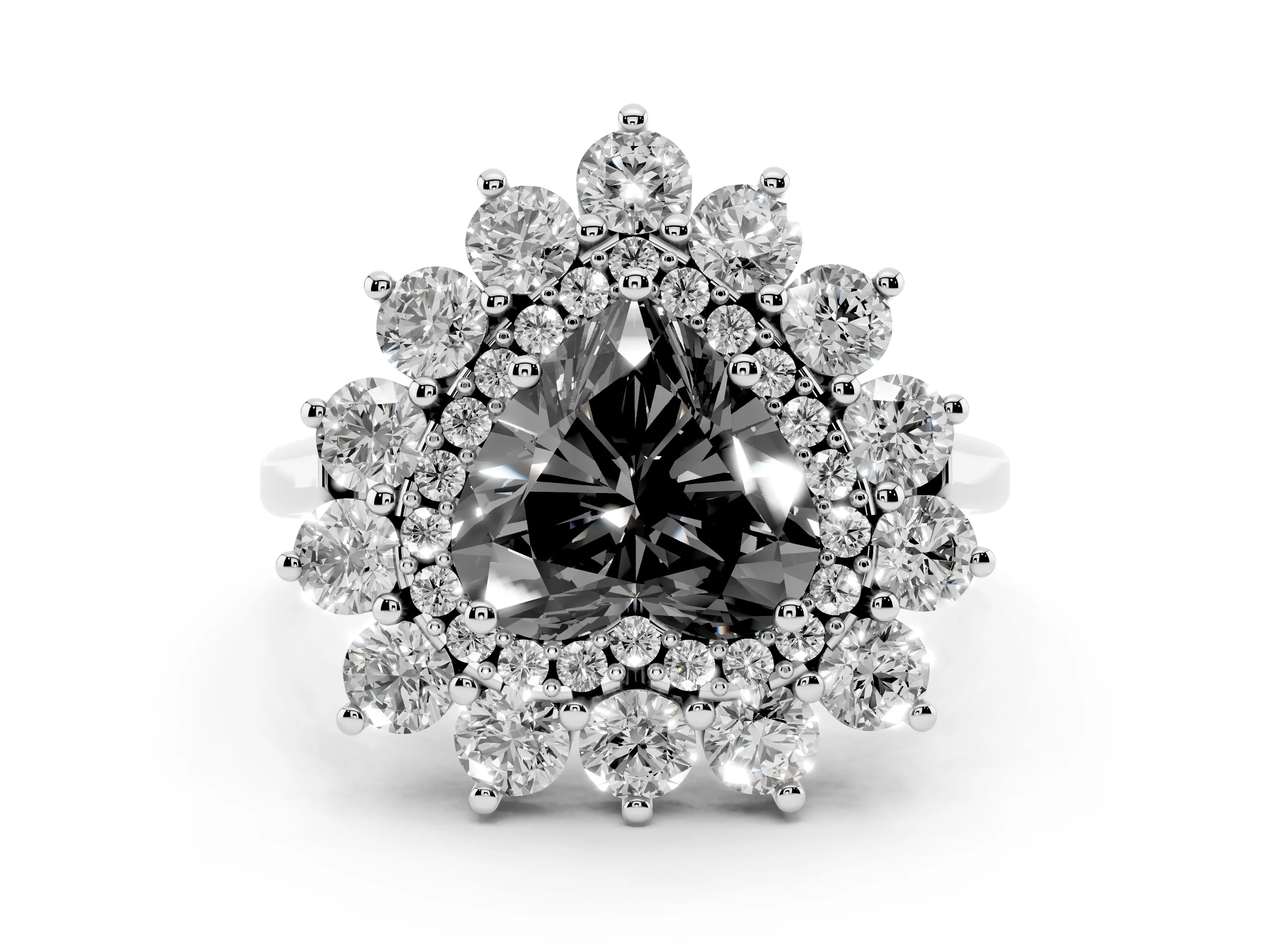 Fancy Black Heart Cut Diamond Floral Double Halo Ring Set in Silver with Round Petals