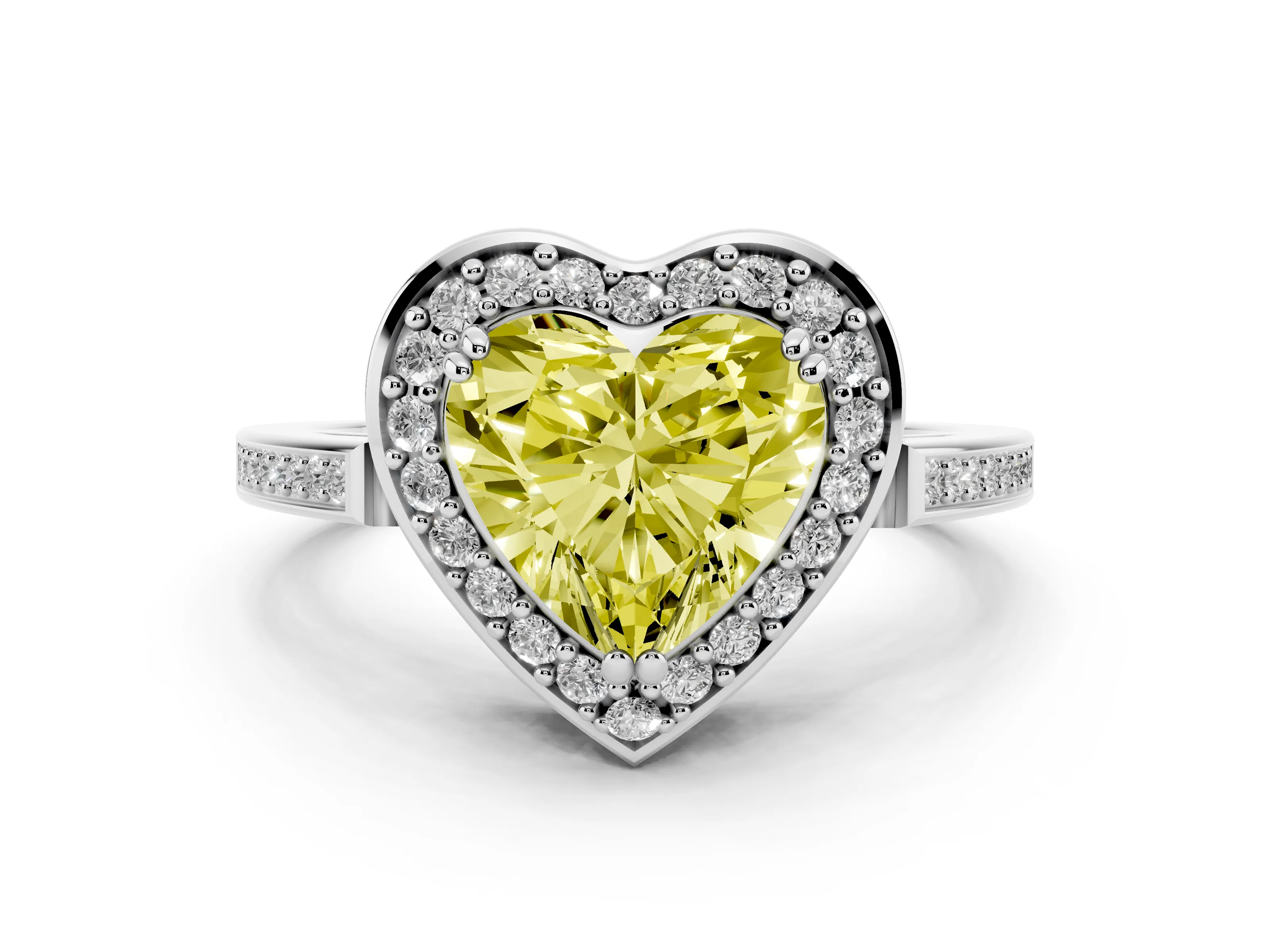 Heart