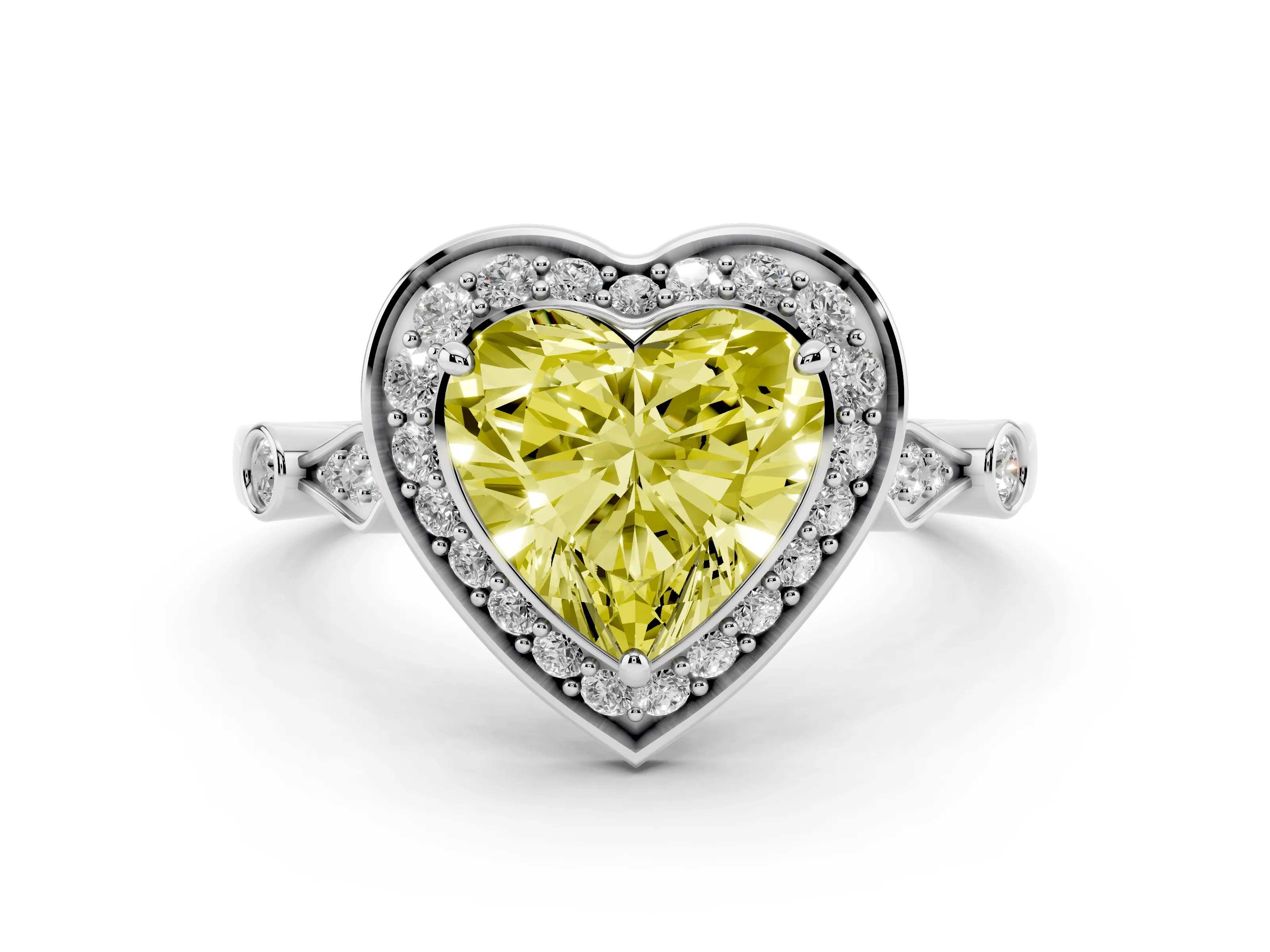 Heart