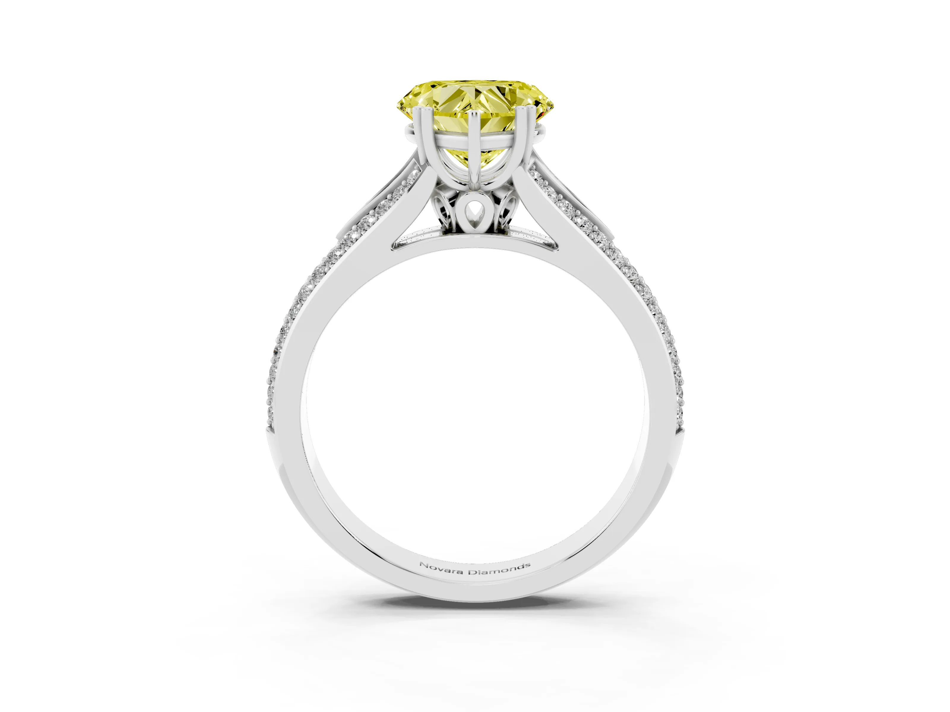 Fancy Yellow Heart Cut Diamond Split Shank Pavé Engagement Ring Set in White gold with Prong-Set Center Stone